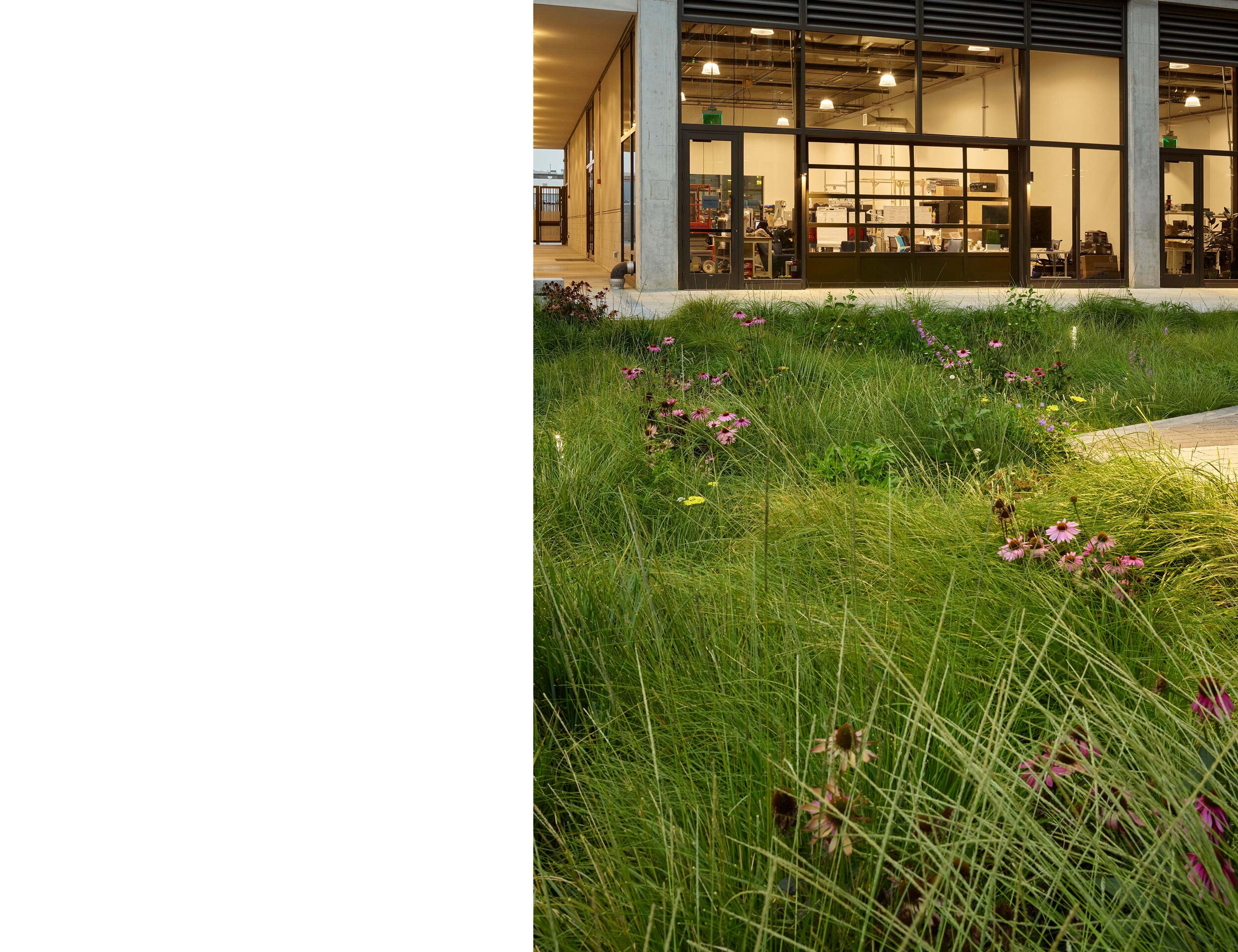 Hooper Street — Surfacedesign, Inc.