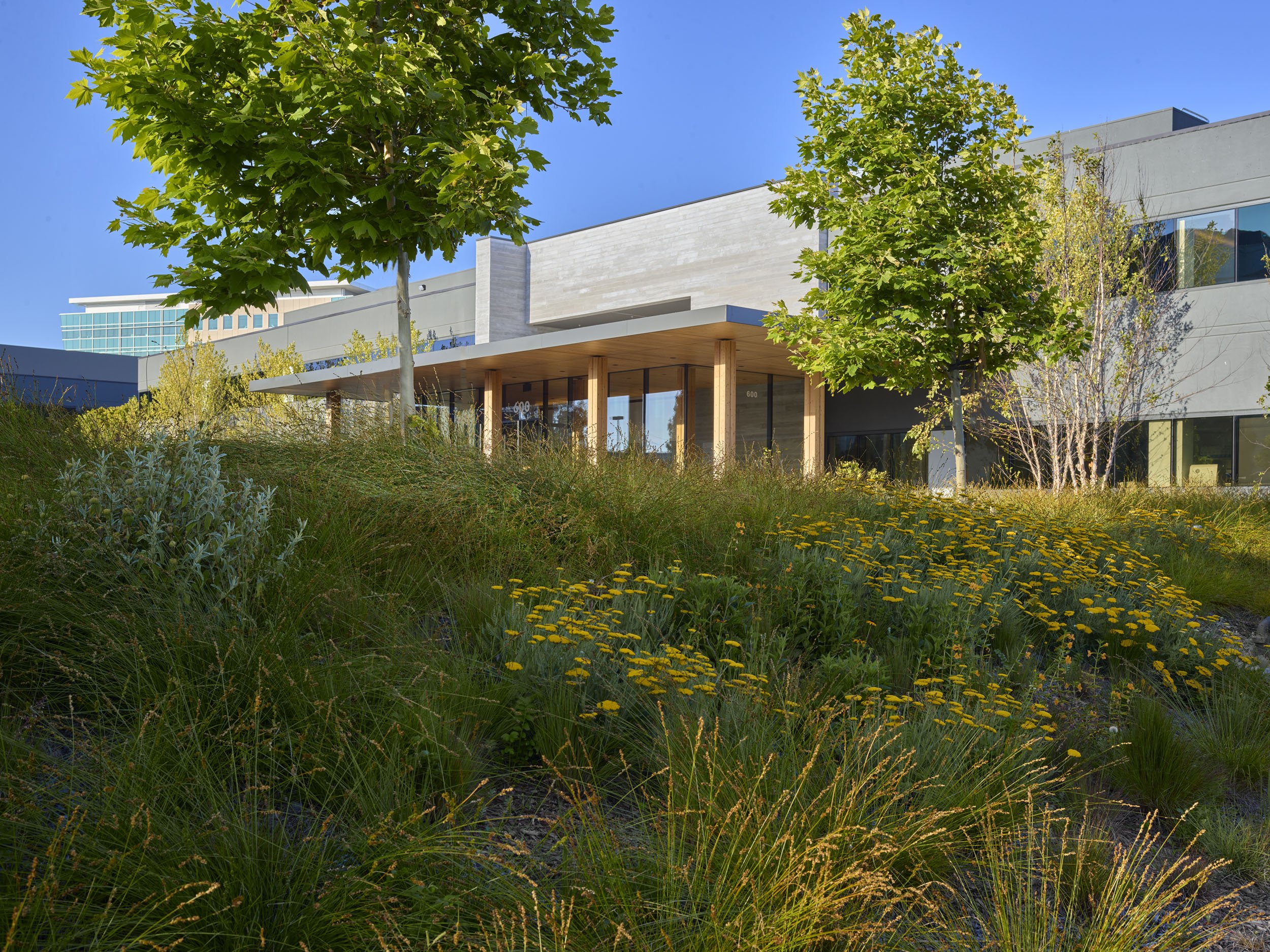 600 650 Gateway — Surfacedesign, Inc.