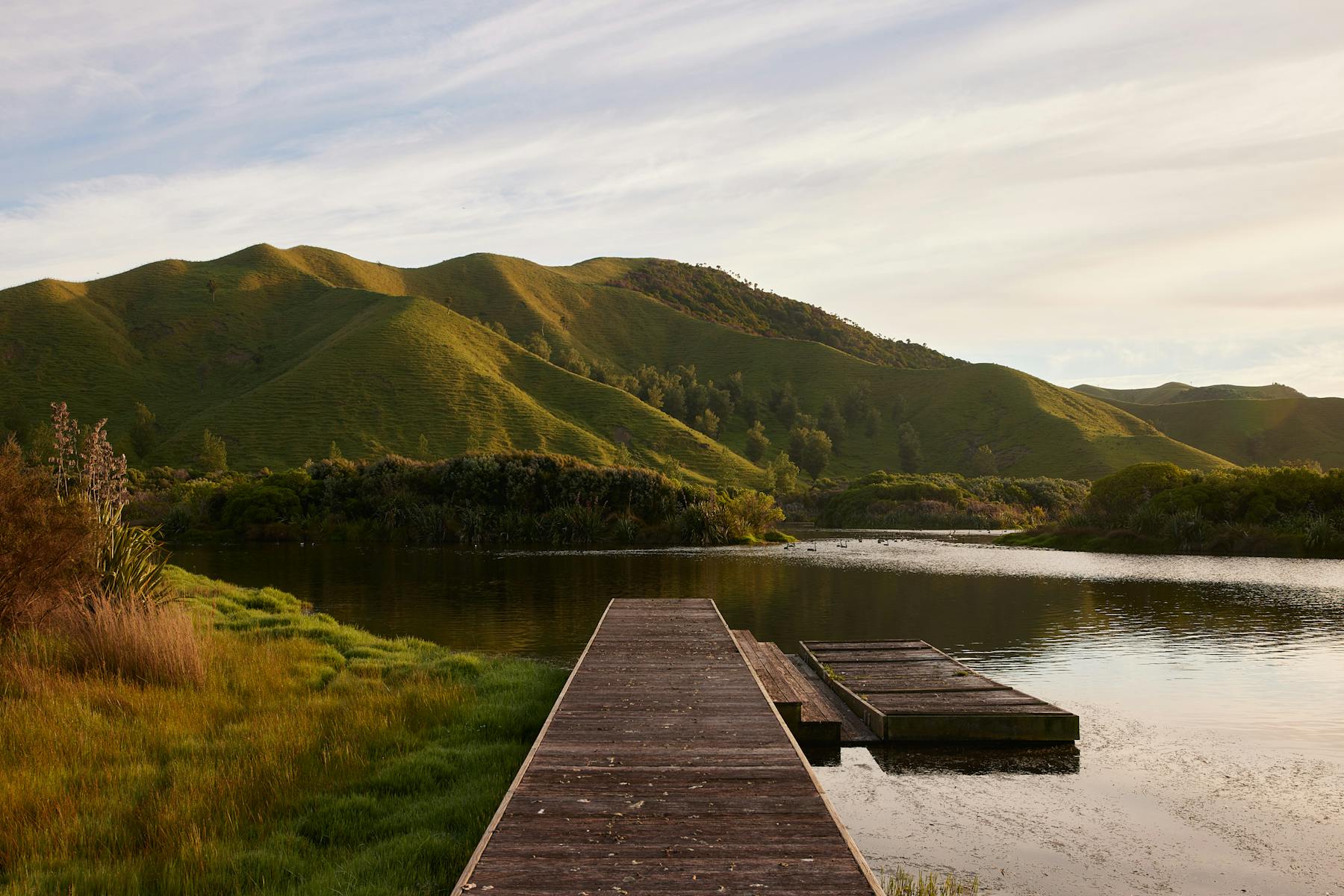 New Zealand — Alexander Design