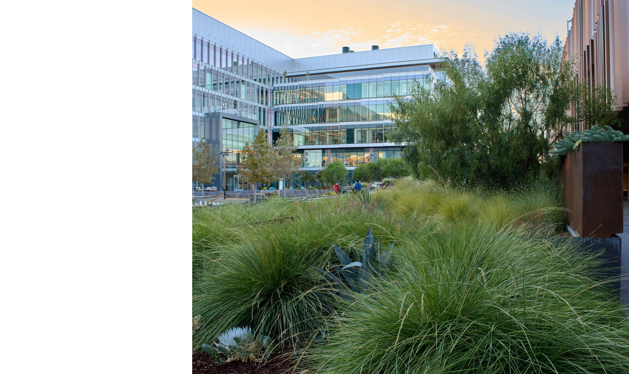 Alexandria Center for Life Sciences — Surfacedesign, Inc.