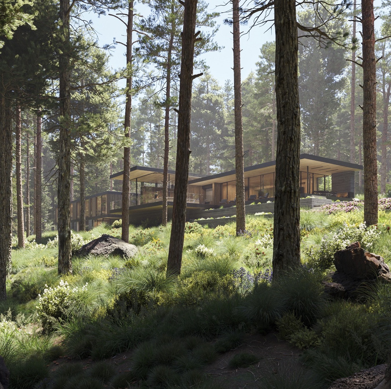 Alpine Retreat — Walker Warner