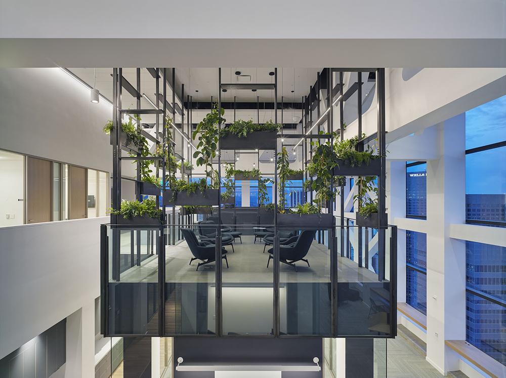 BCG Donaldson+Partners — Donaldson+Partners
