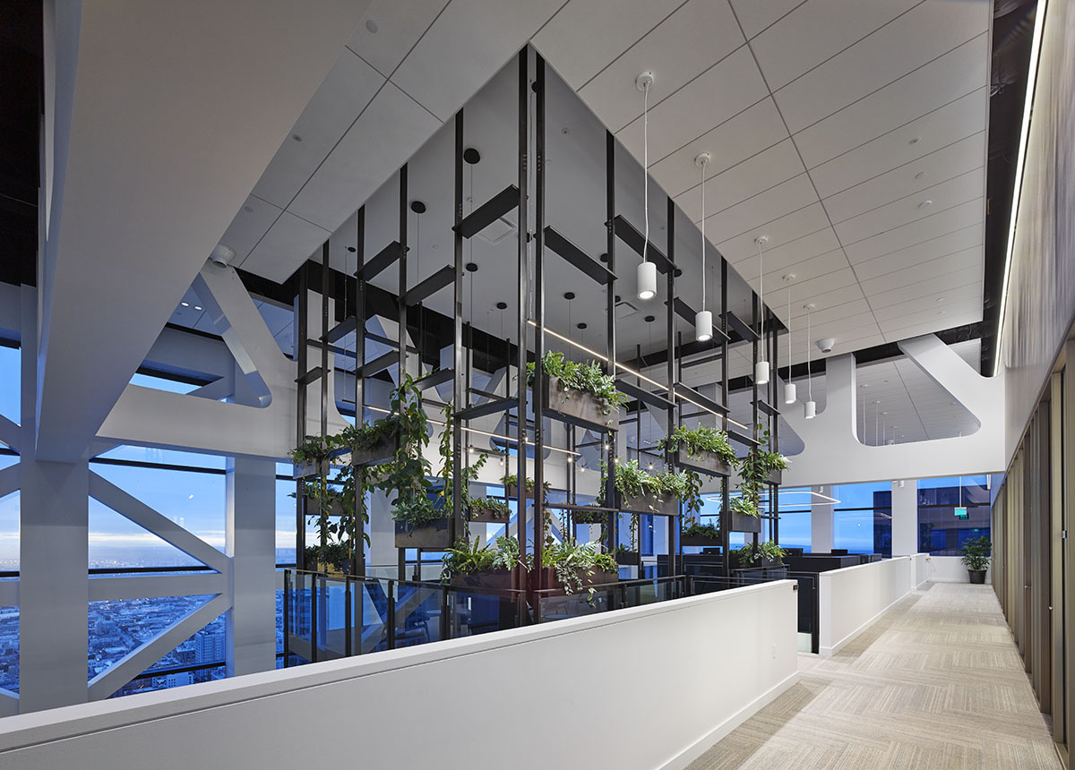 BCG Donaldson+Partners — Donaldson+Partners