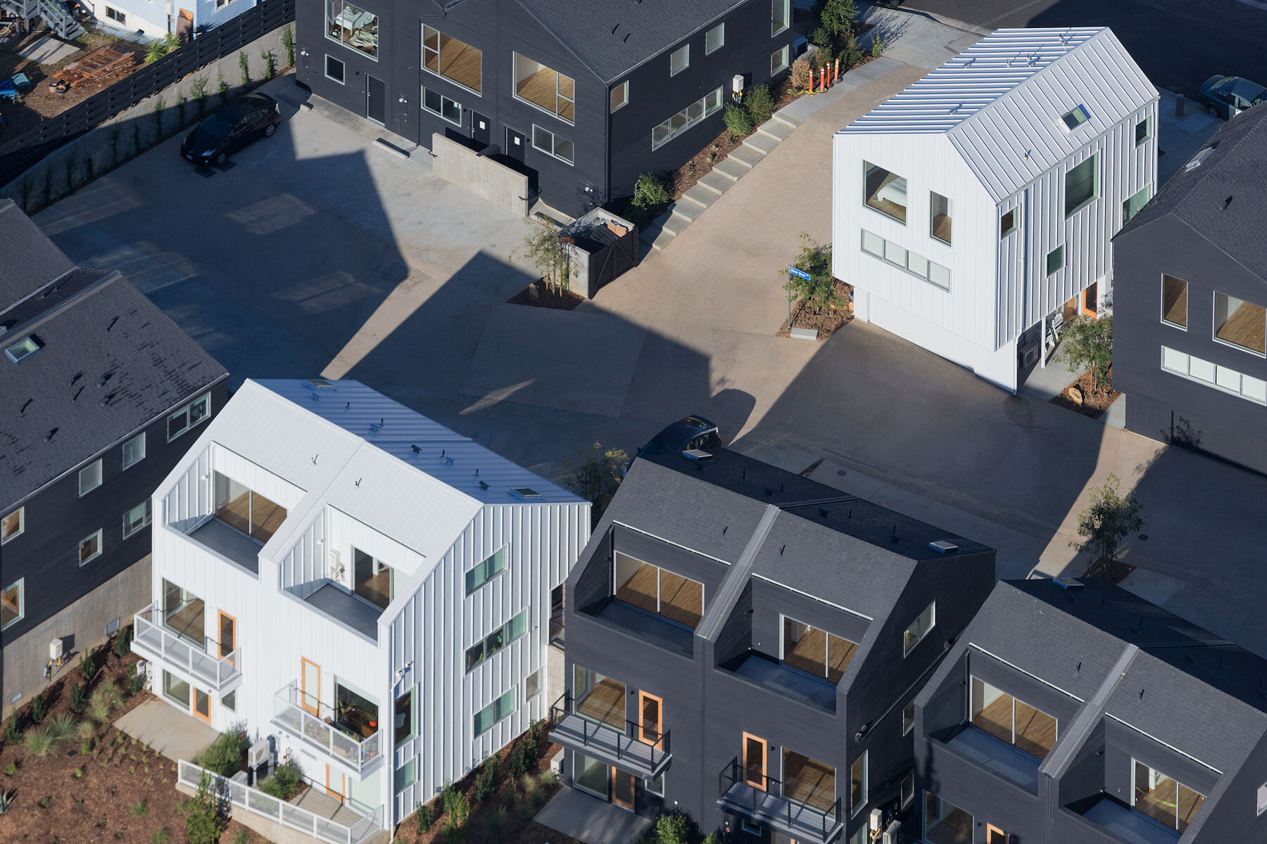Blackbirds — BESTOR ARCHITECTURE