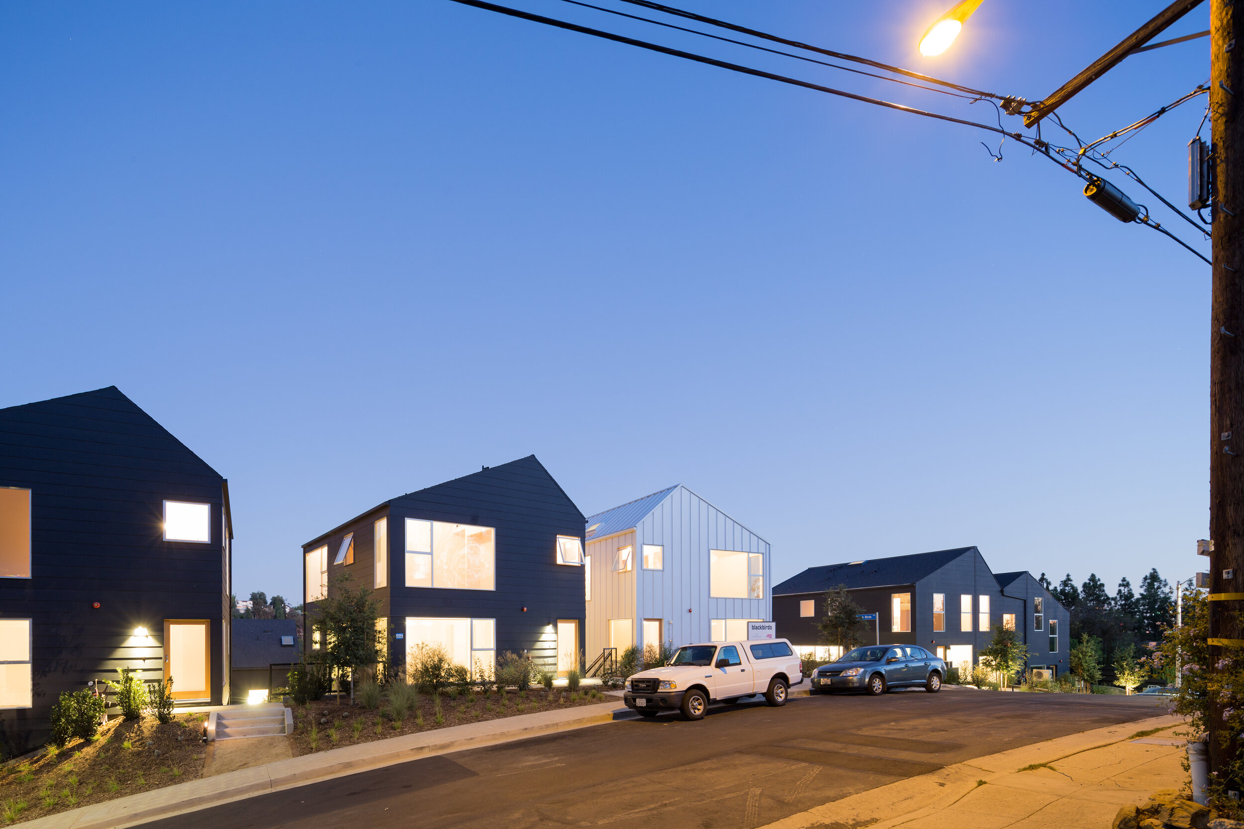 Blackbirds — BESTOR ARCHITECTURE