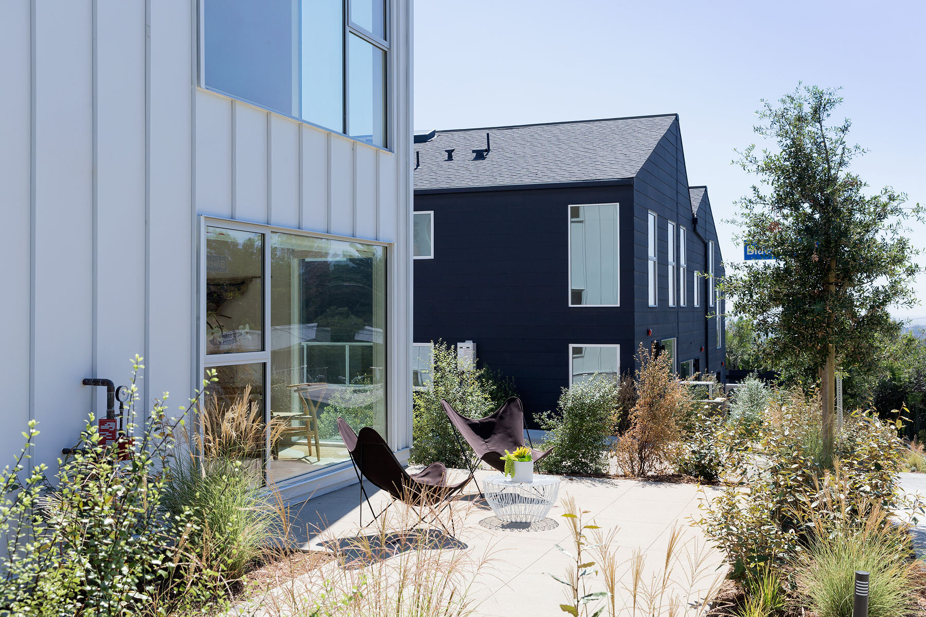 Blackbirds — BESTOR ARCHITECTURE