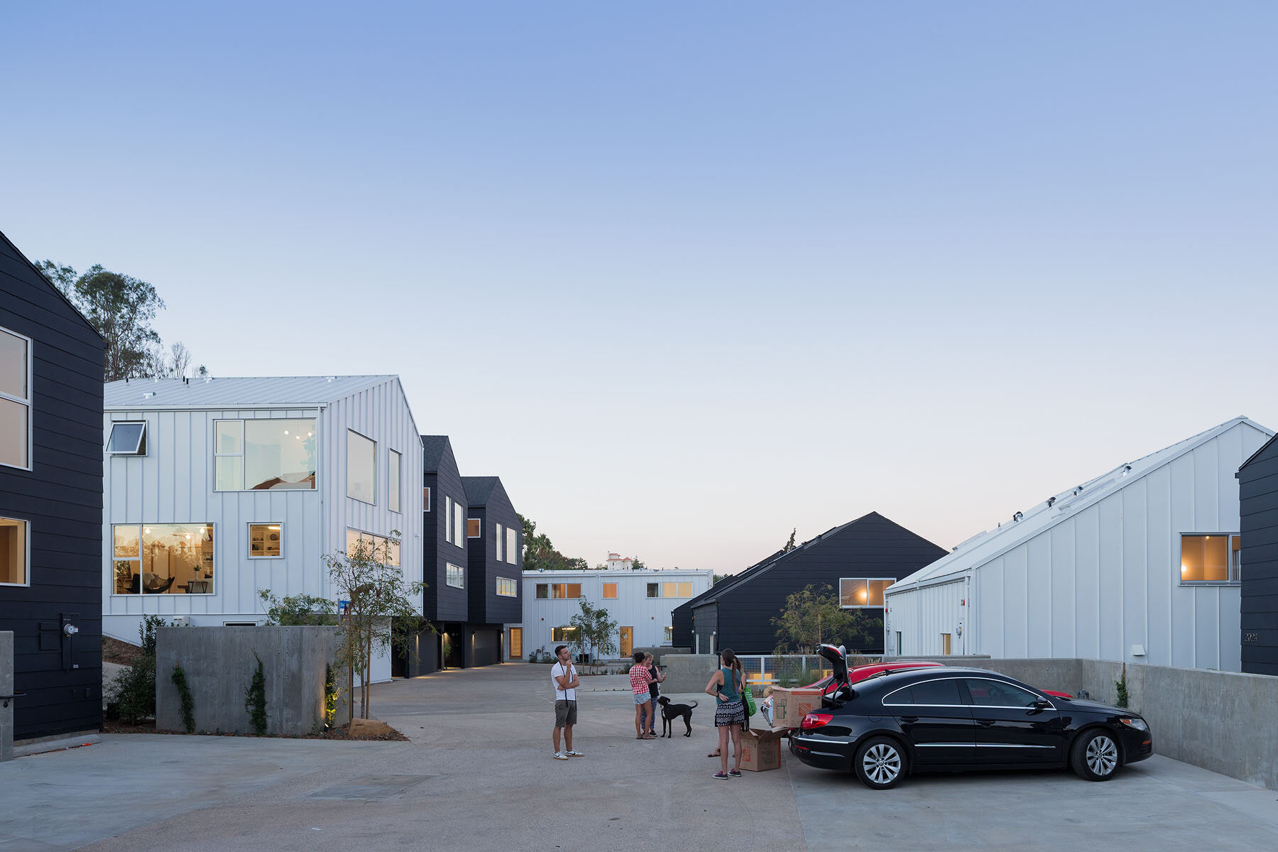 Blackbirds — BESTOR ARCHITECTURE