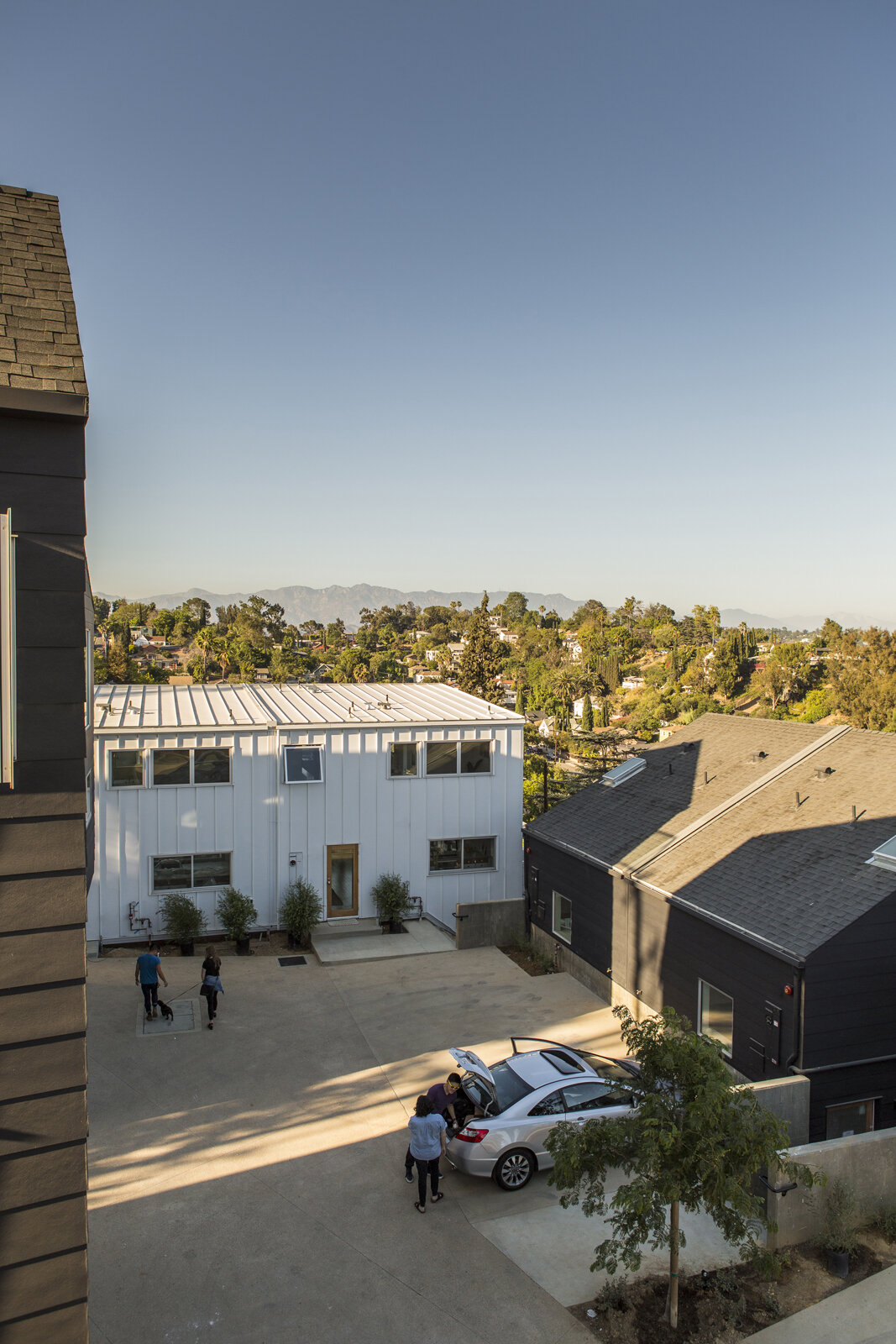 Blackbirds — BESTOR ARCHITECTURE