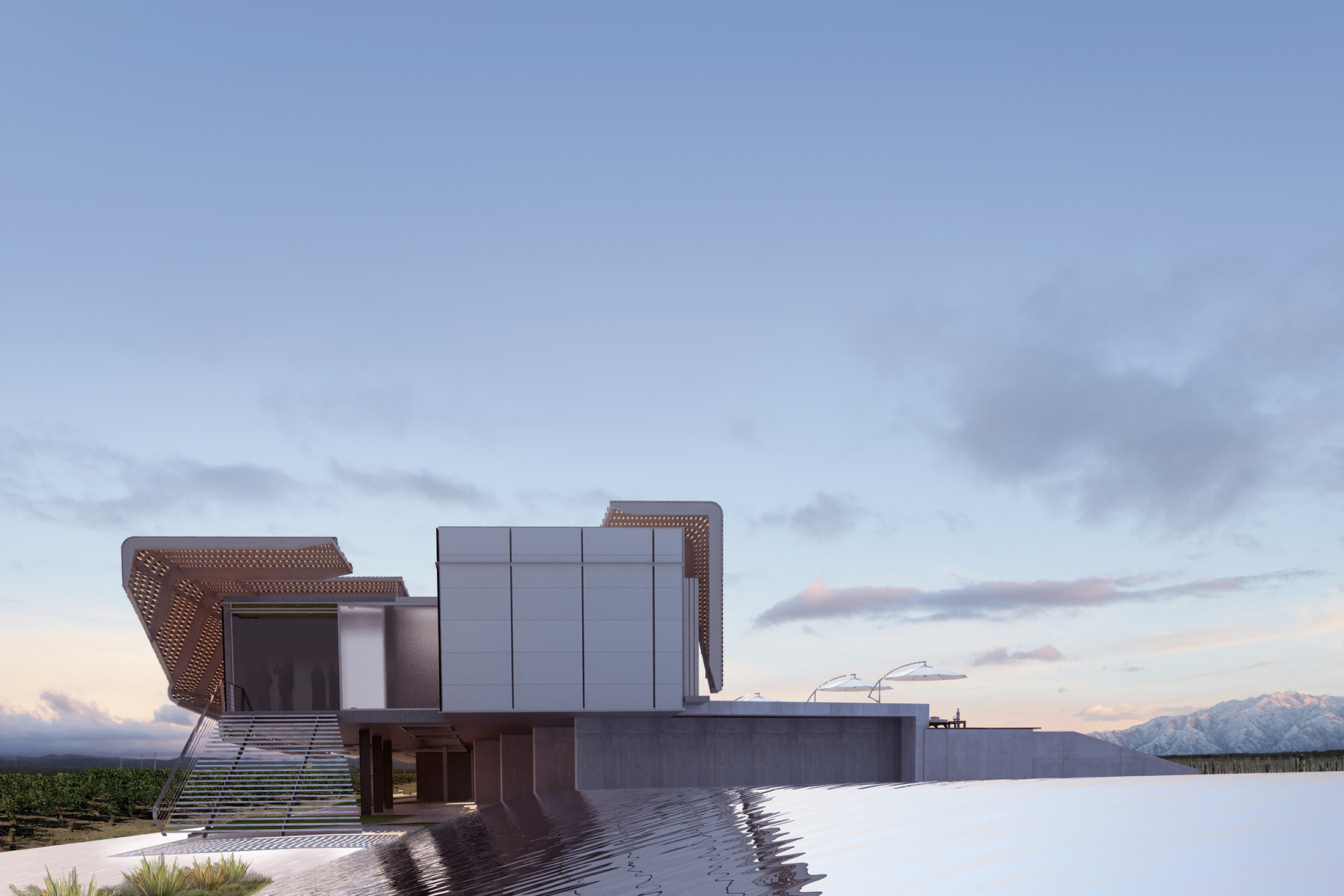 BODEGA BAUER — Field Architecture