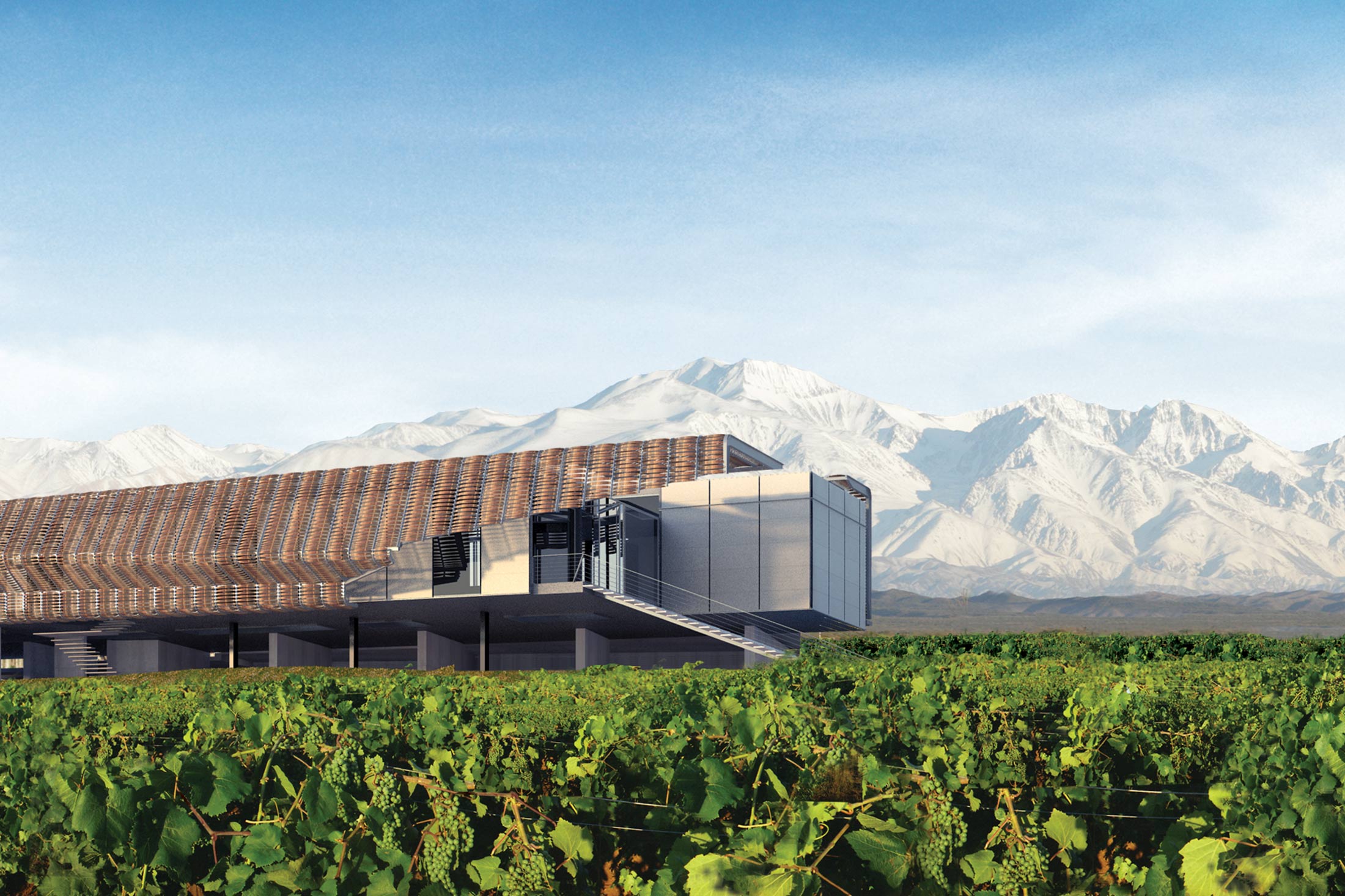 BODEGA BAUER — Field Architecture