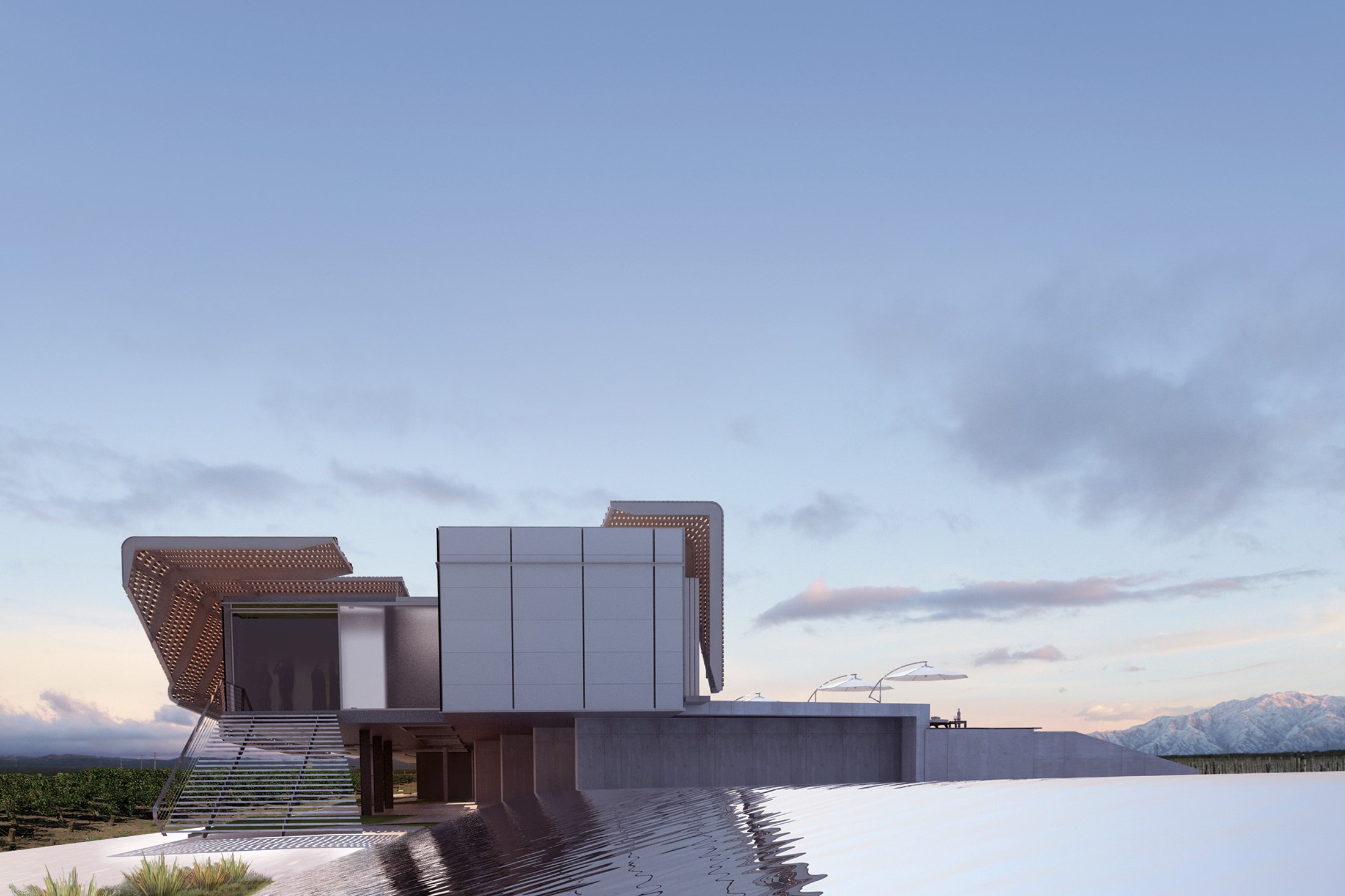 Bodega Bauer — Field Architecture