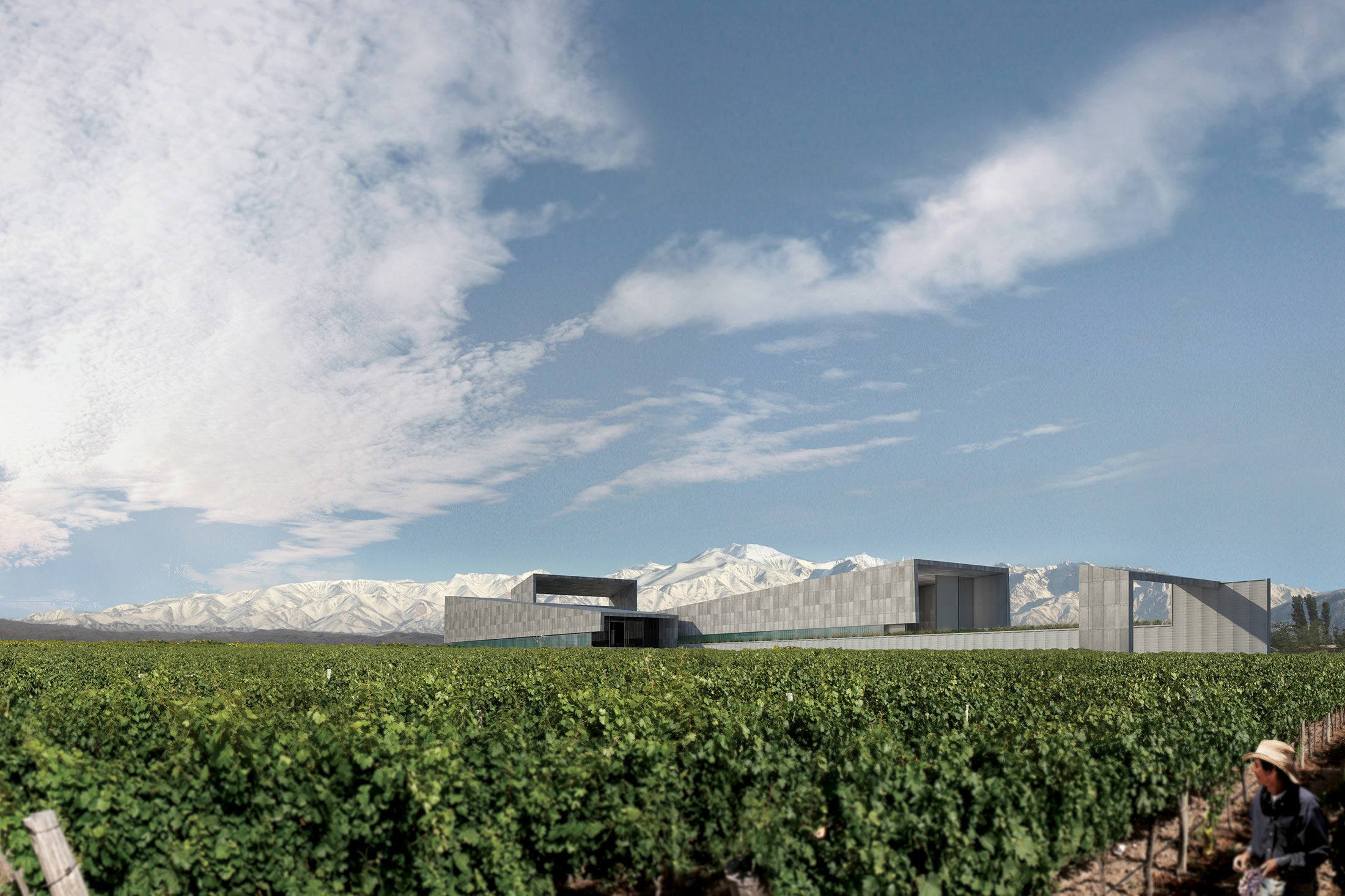 BODEGA BAUER — Field Architecture