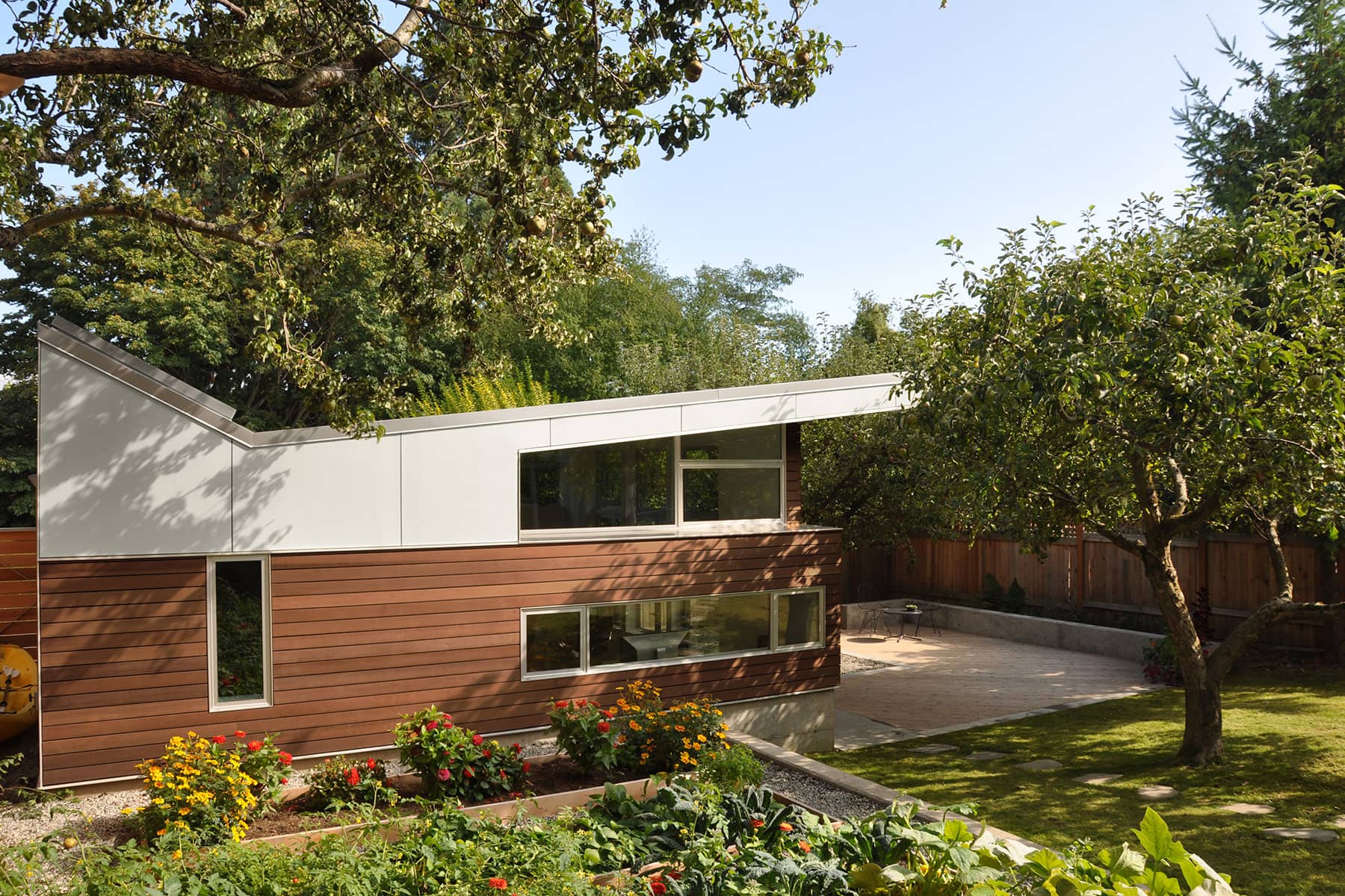 Backyard Studio — SHED Architecture & Design