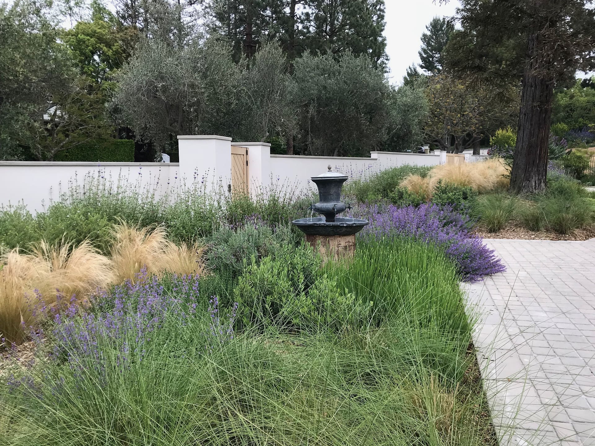 Beverly Park Residence — Fiore Landscape Design