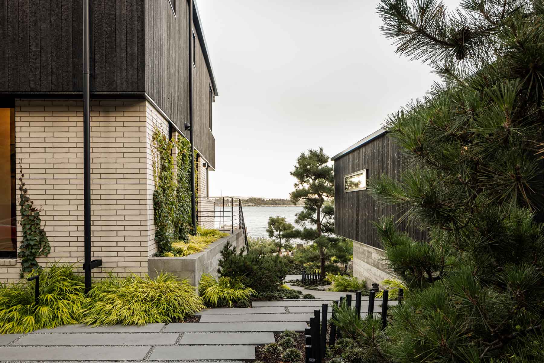 Black Pine House — SHED Architecture & Design