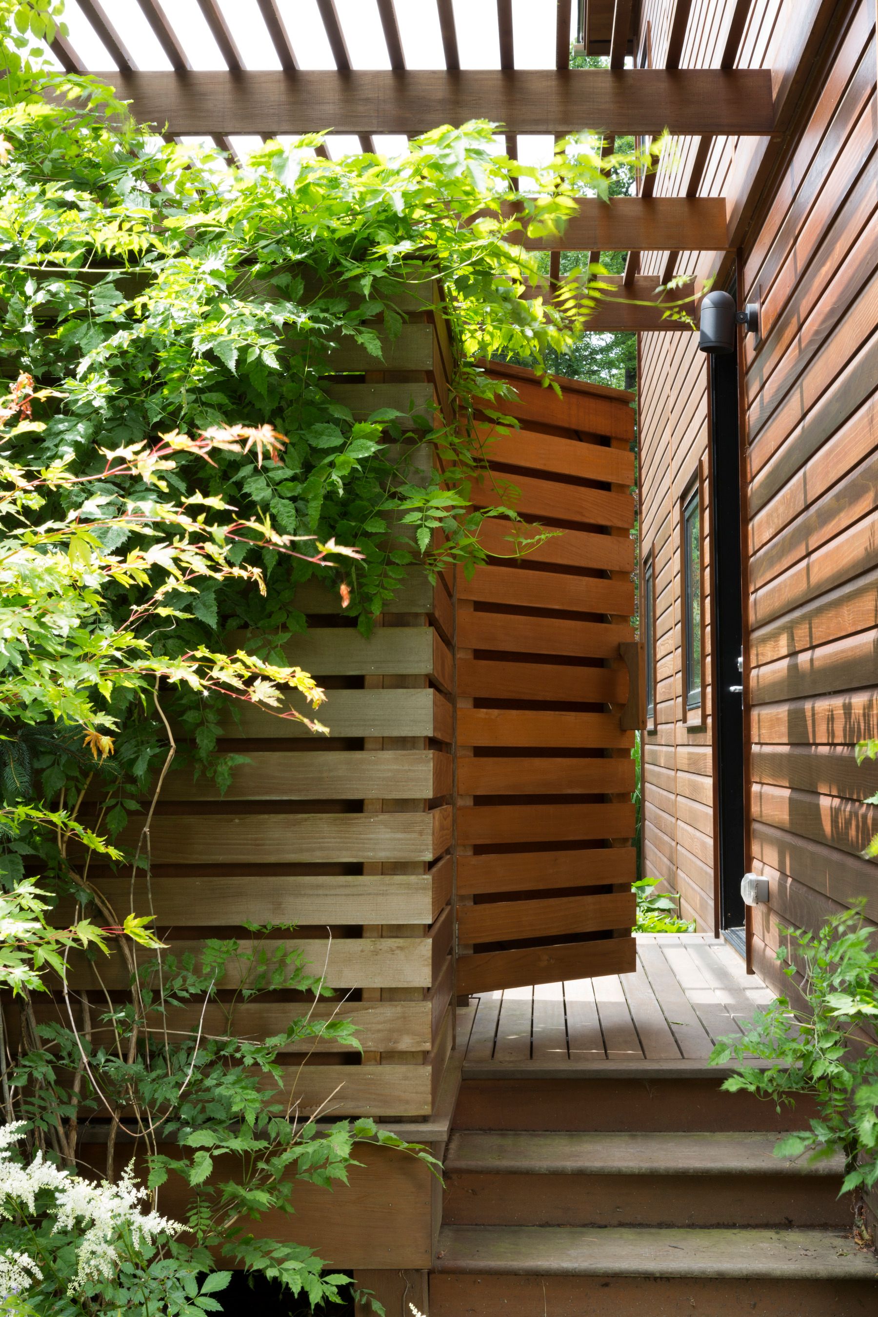 Bug Acres of Woodstock — Home | The Brooklyn Studio