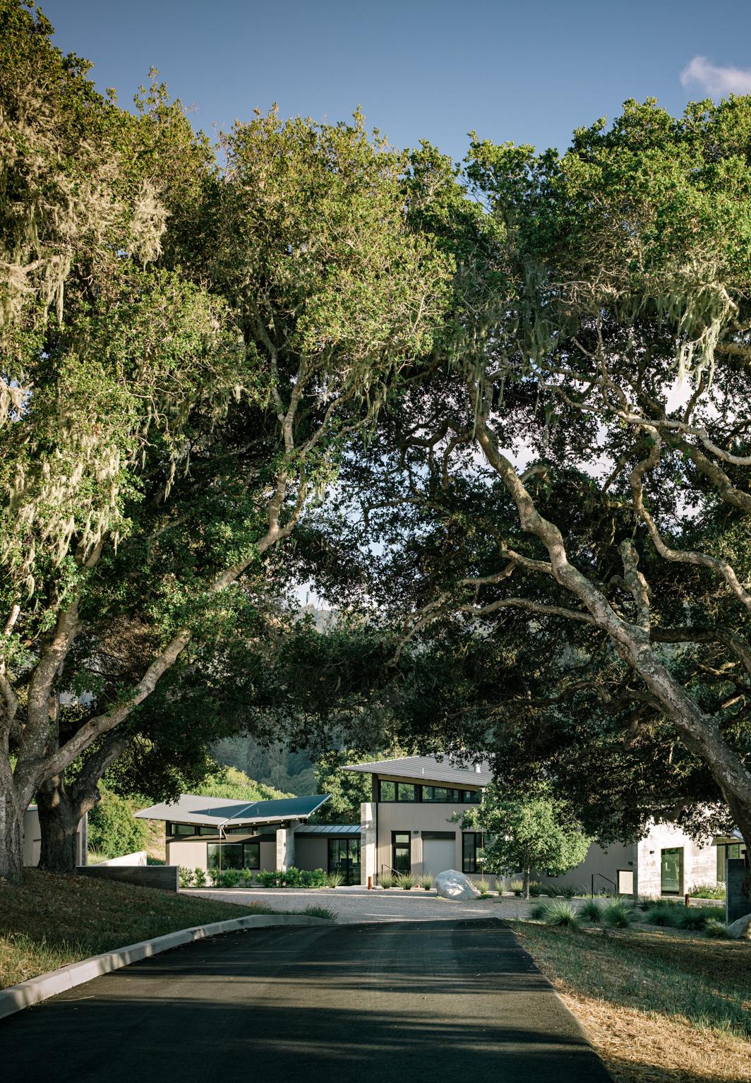 Butterfly House — Feldman Architecture