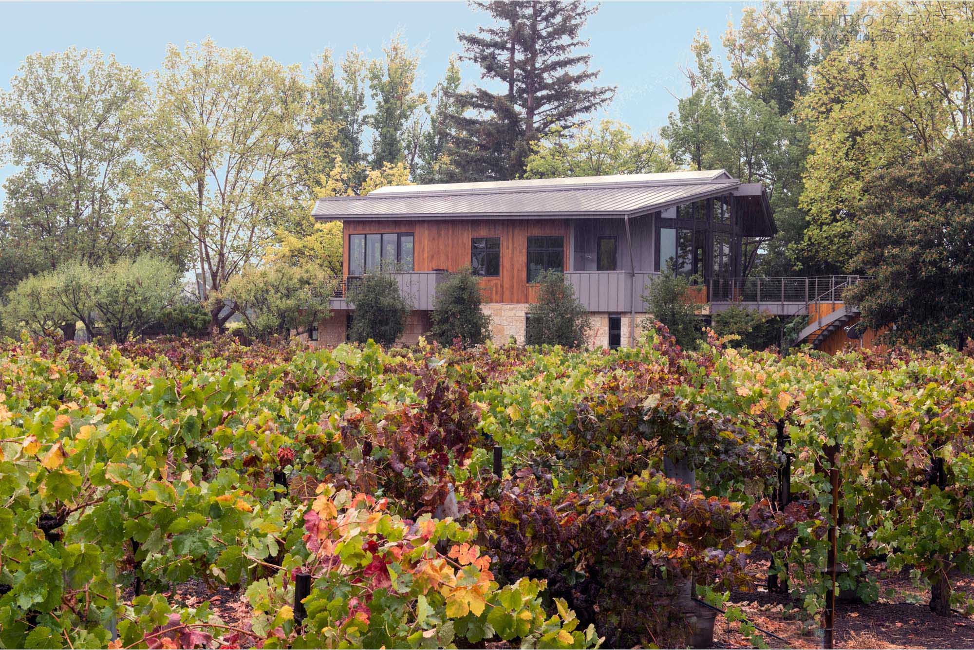 Carefree Dans Les Vignes Contemporary Architecture — Studio Carver Architects
