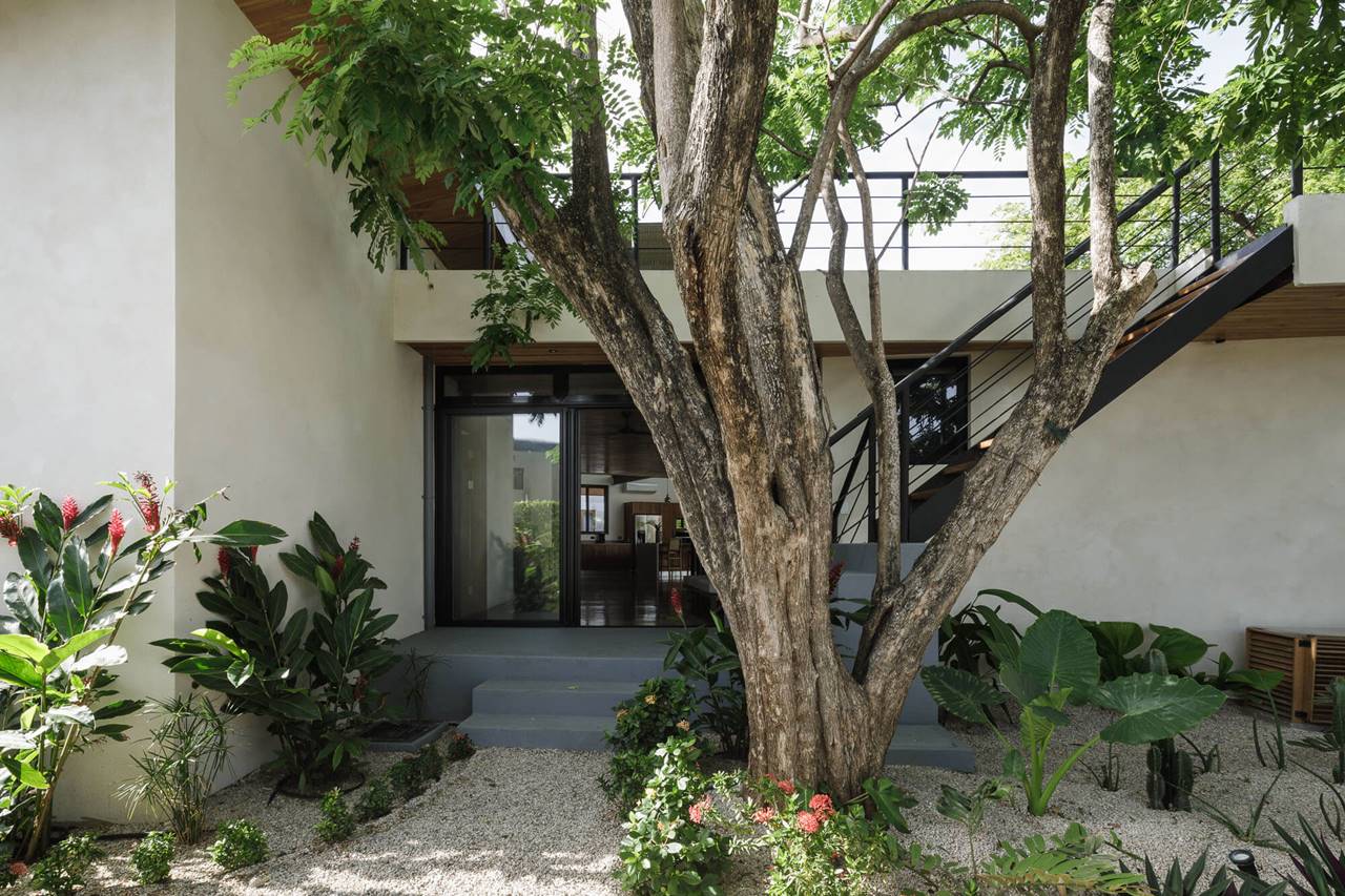 CASA LAS ABEJAS — LSD – LABORATORY SUSTAINING DESIGN