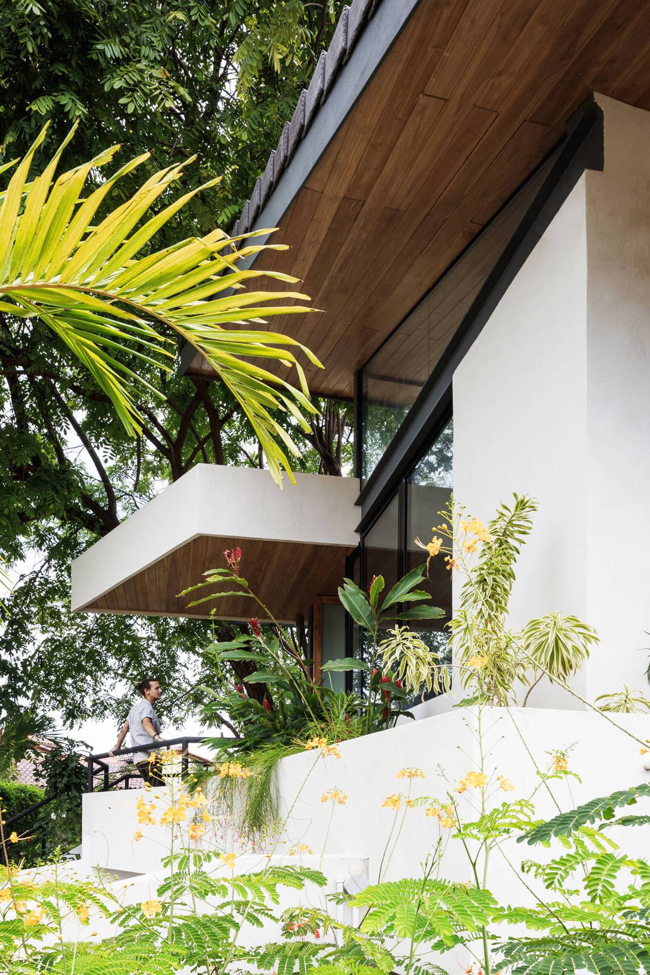 CASA LAS ABEJAS — LSD – LABORATORY SUSTAINING DESIGN