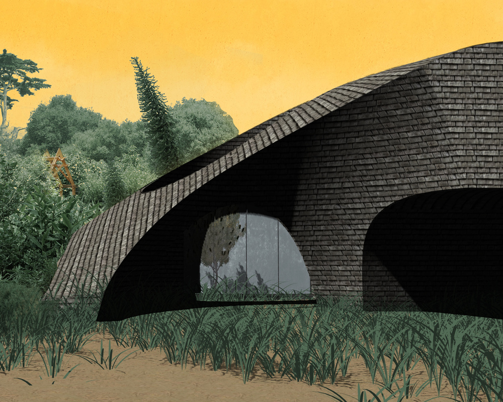 CL20 — Donaldson+Partners