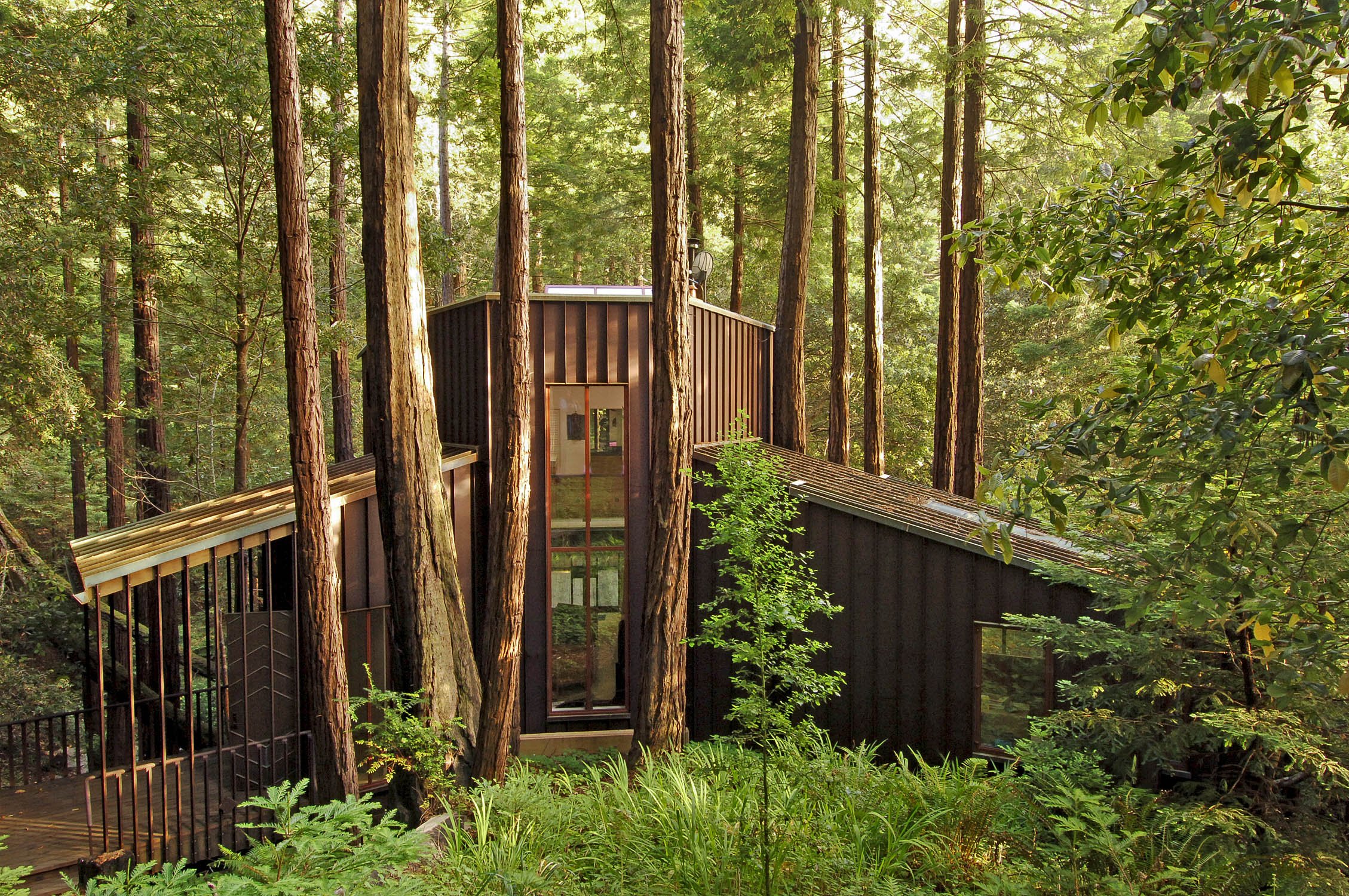Creek View Contemporary Architecture — Studio Carver Architects