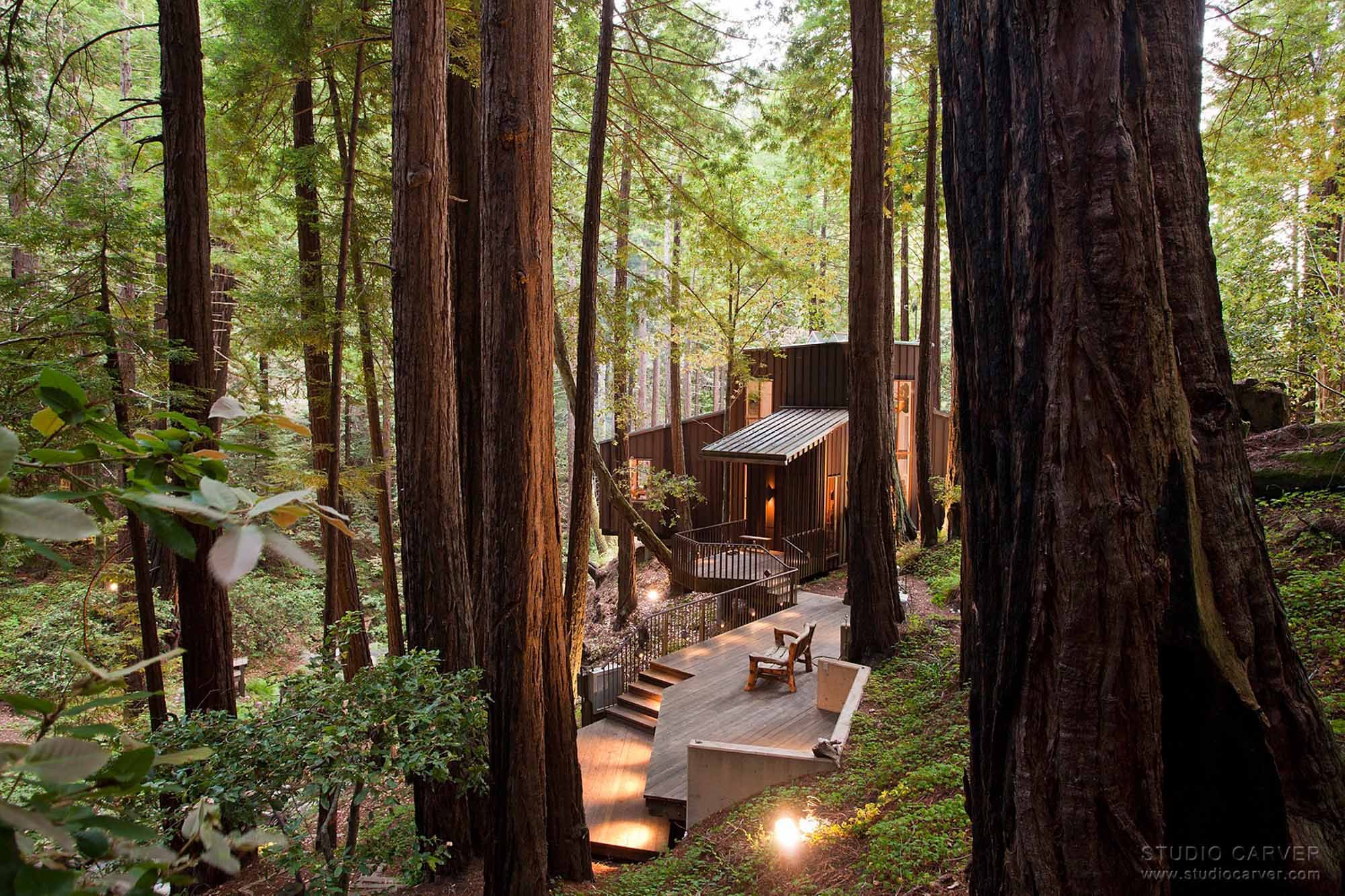 Creek View Contemporary Architecture — Studio Carver Architects