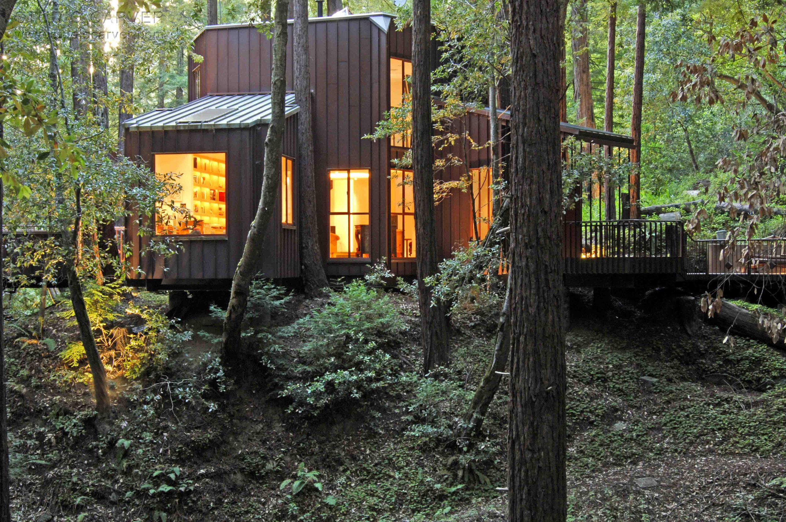Creek View Contemporary Architecture — Studio Carver Architects