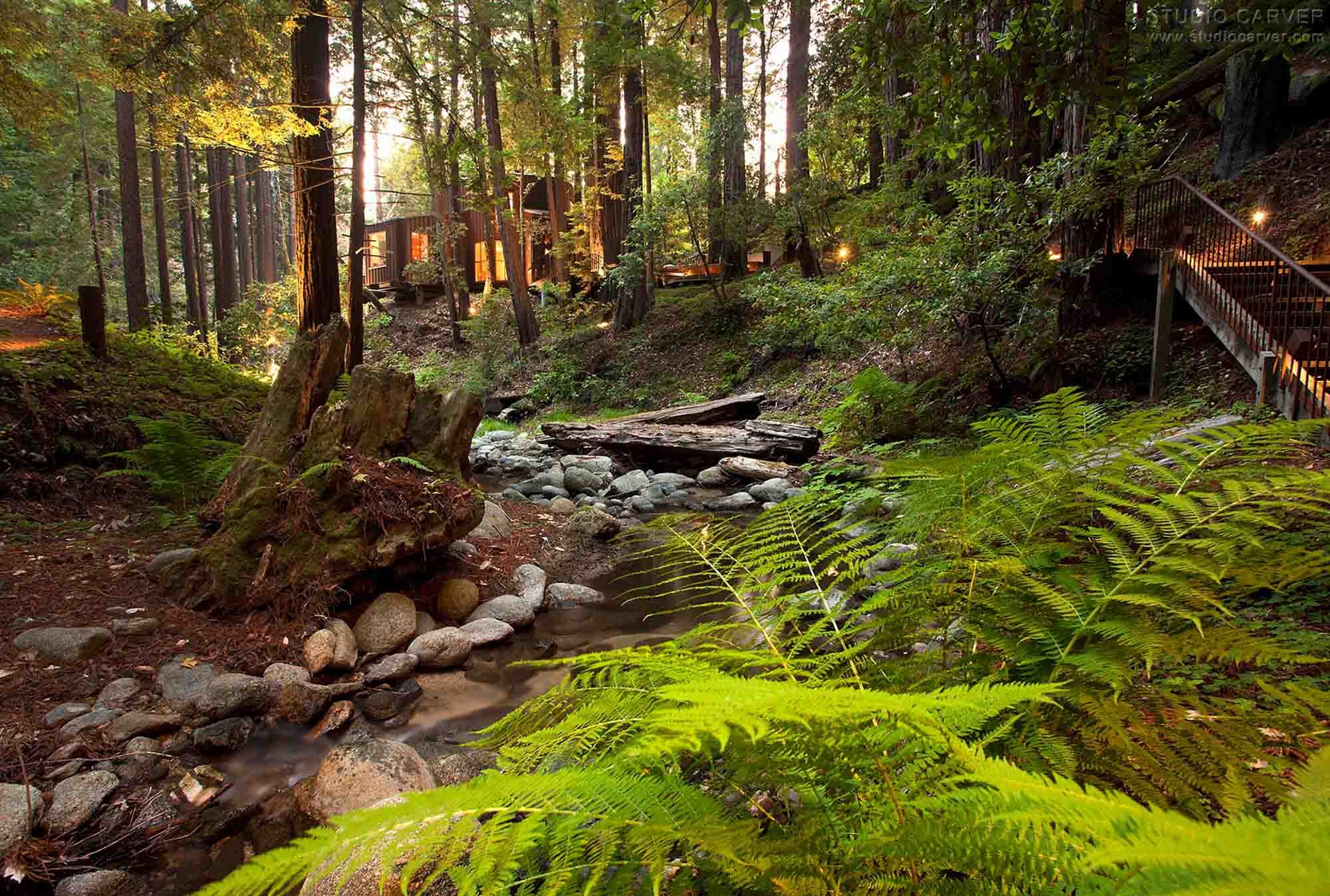 Creek View Contemporary Architecture — Studio Carver Architects