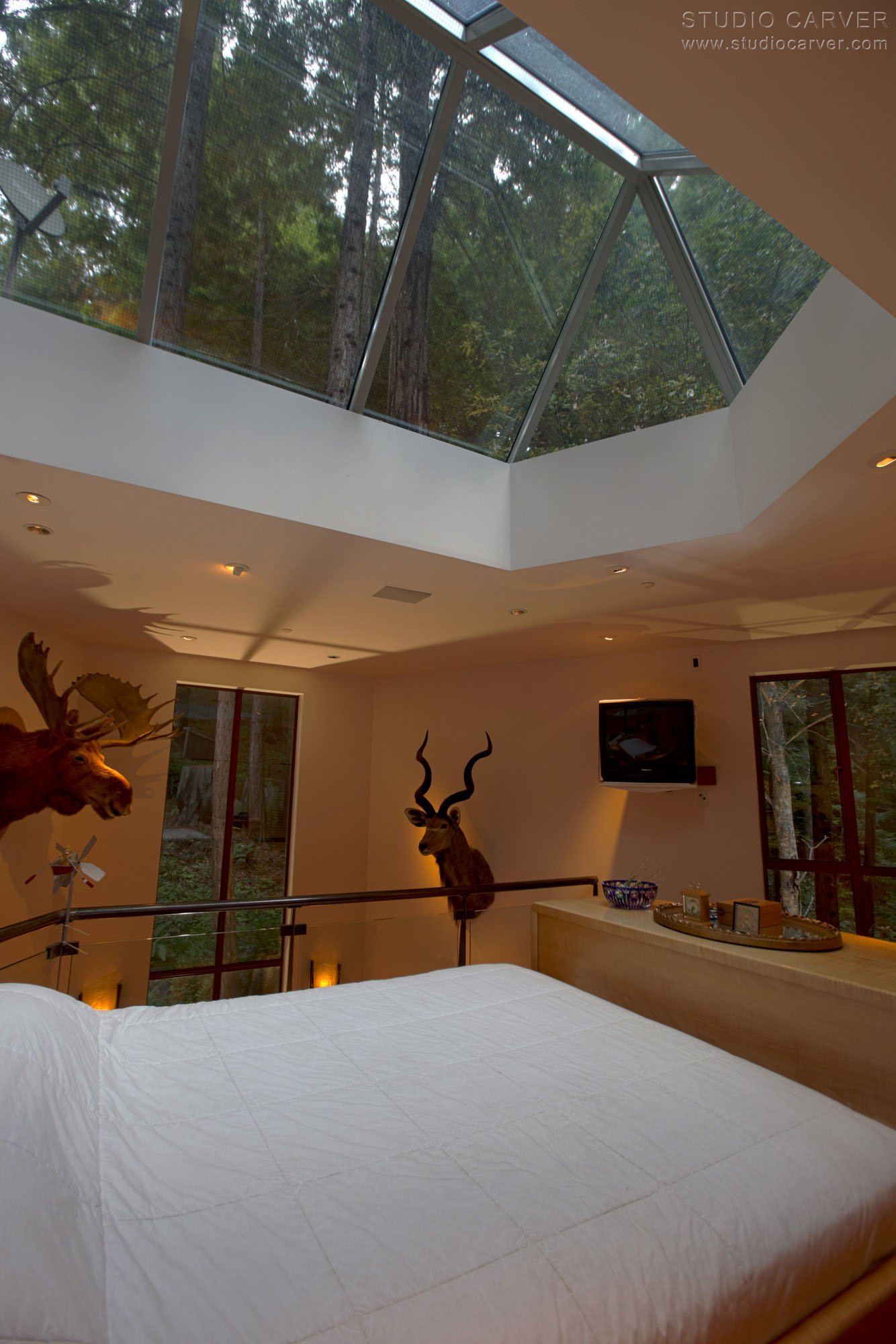 Creek View Contemporary Architecture — Studio Carver Architects