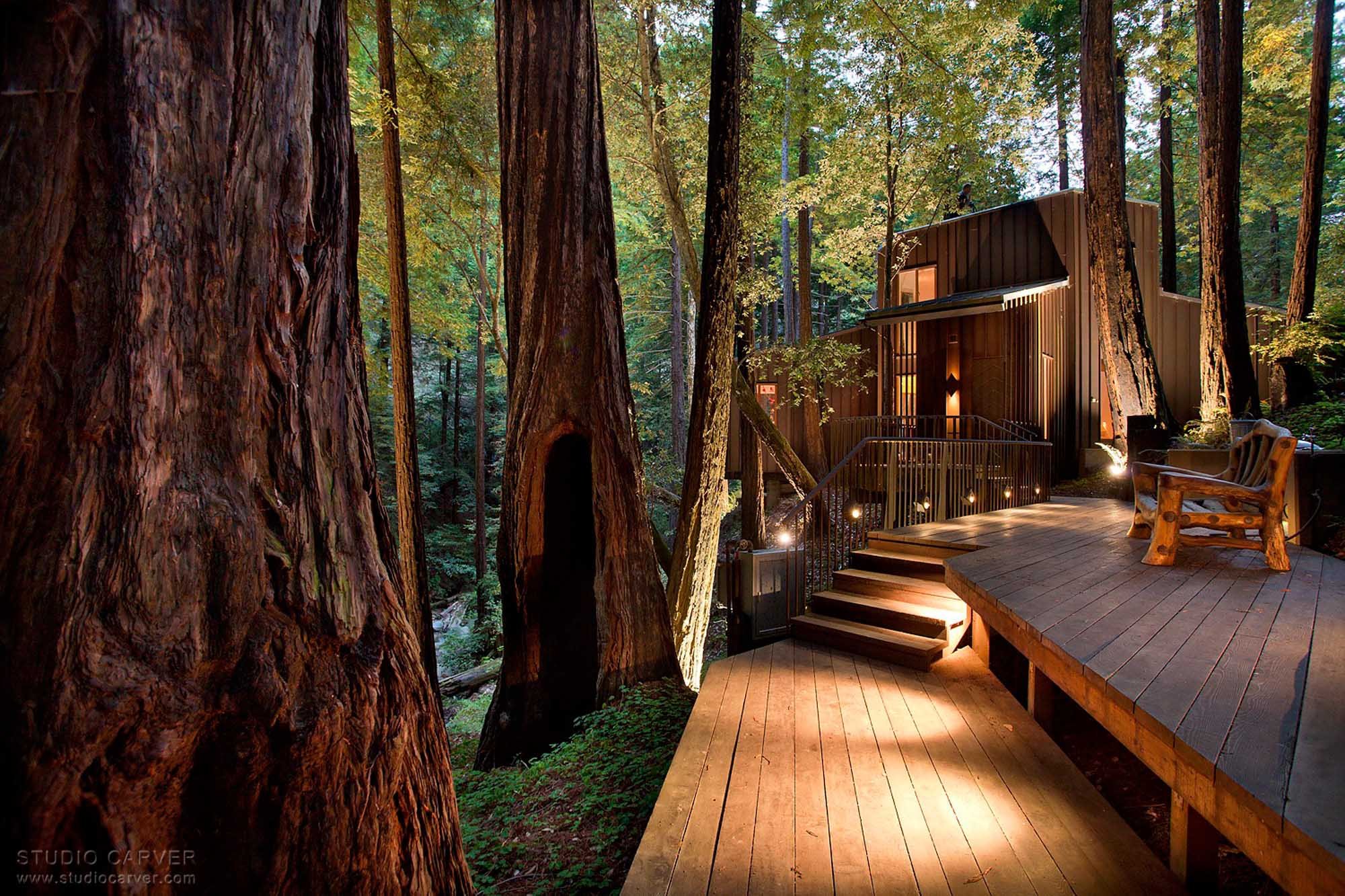 Creek View Contemporary Architecture — Studio Carver Architects