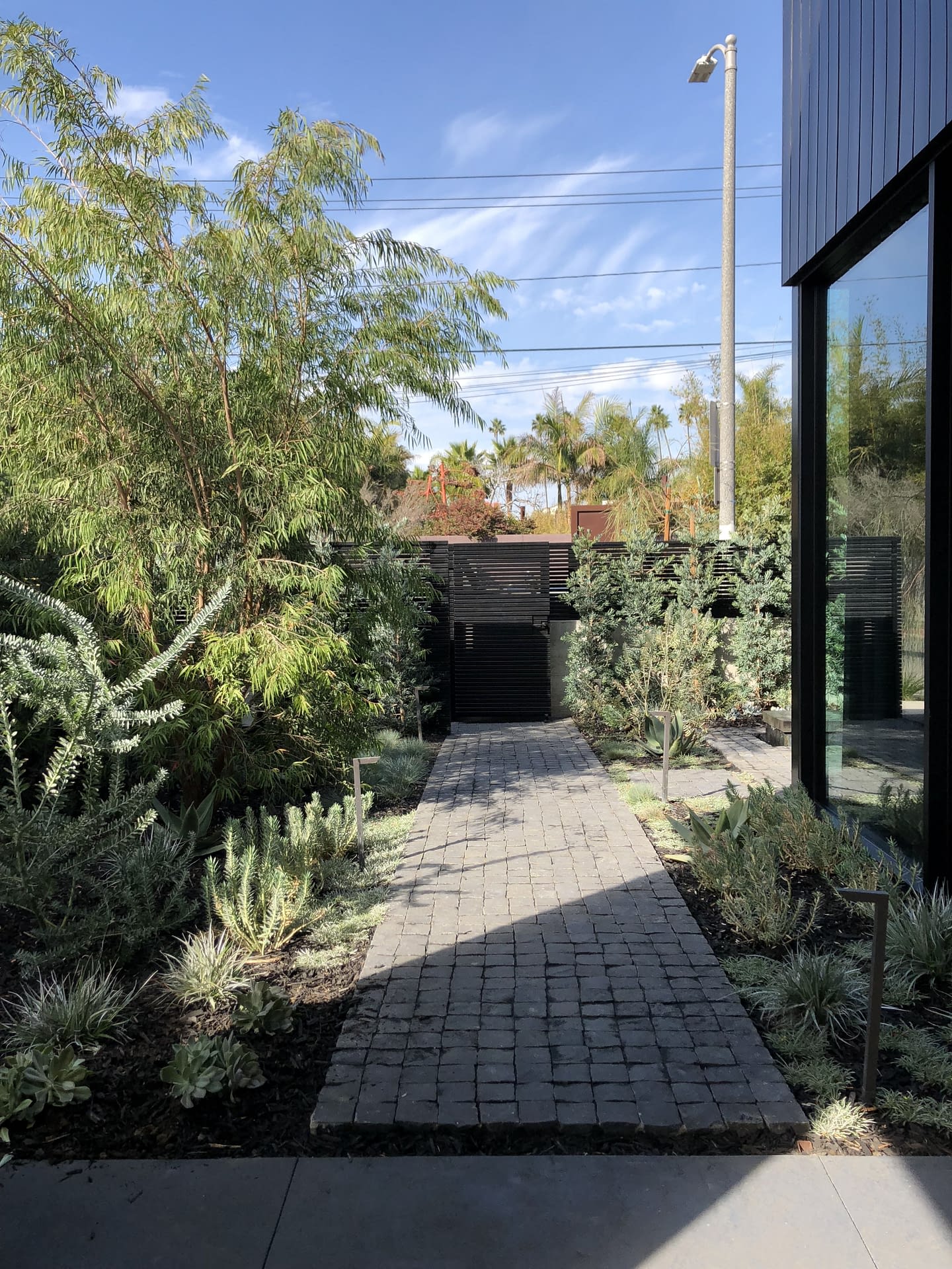 California Street — Fiore Landscape Design