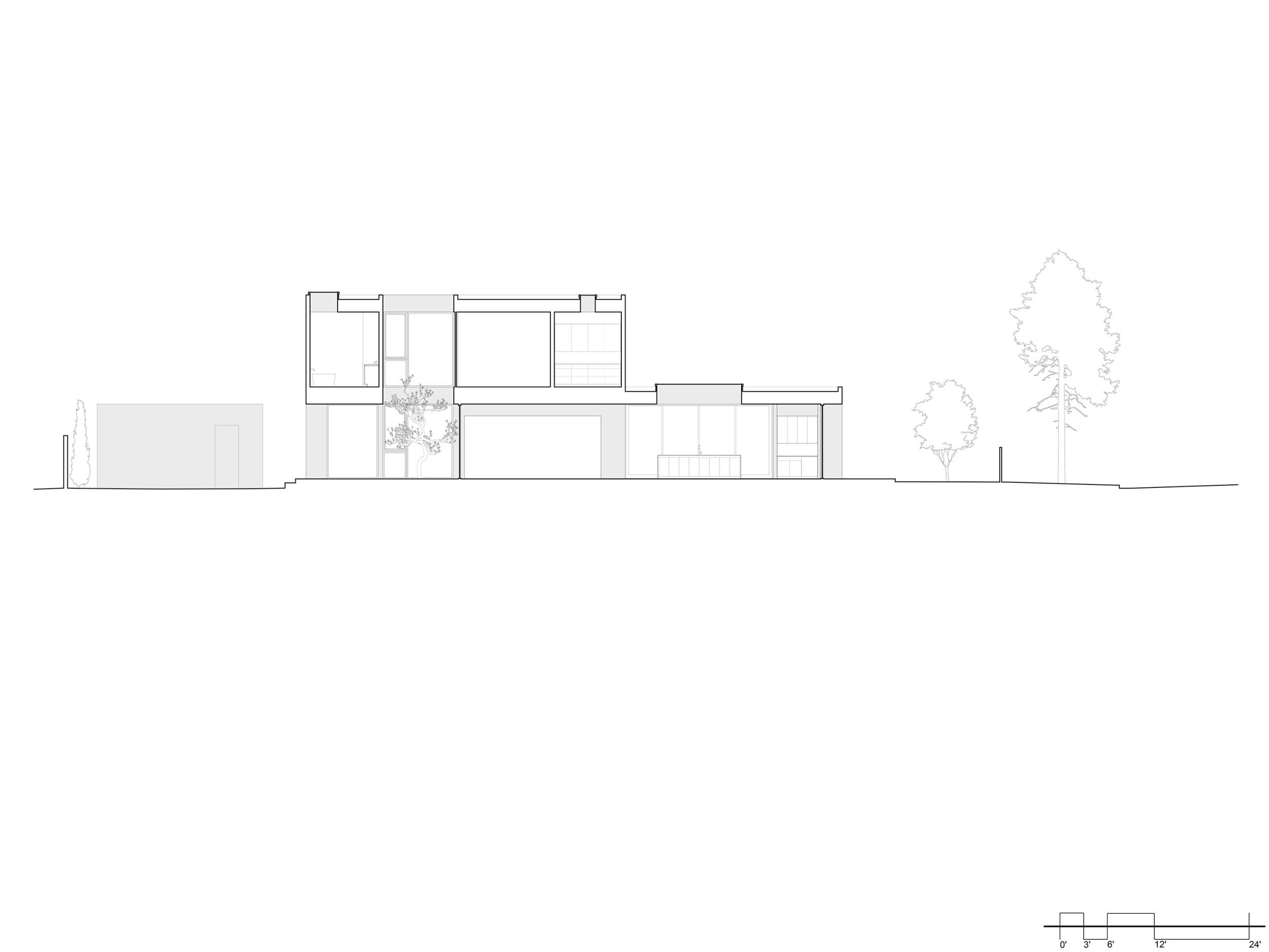 Case Study — Woods + Dangaran