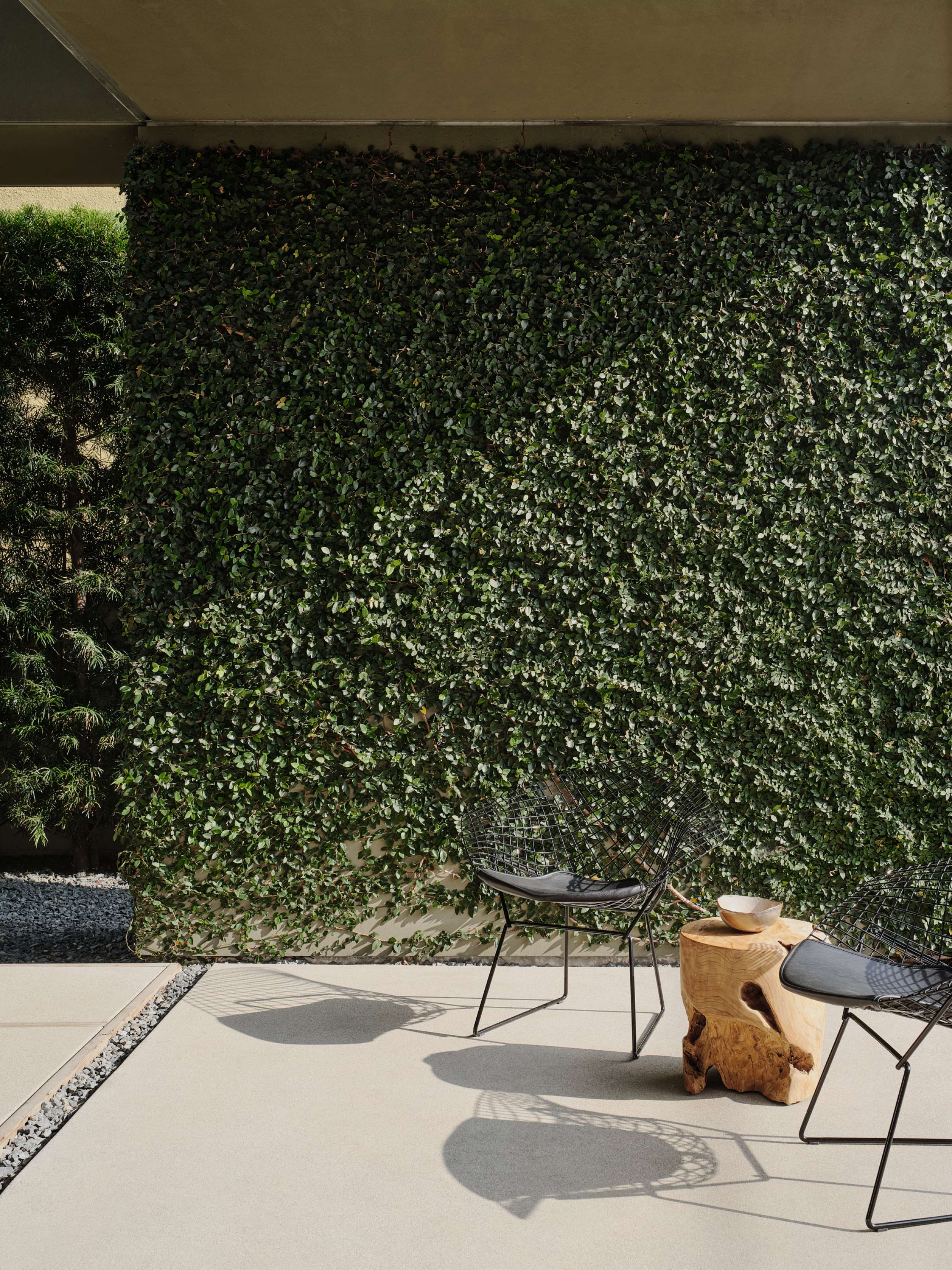 Case Study — Woods + Dangaran