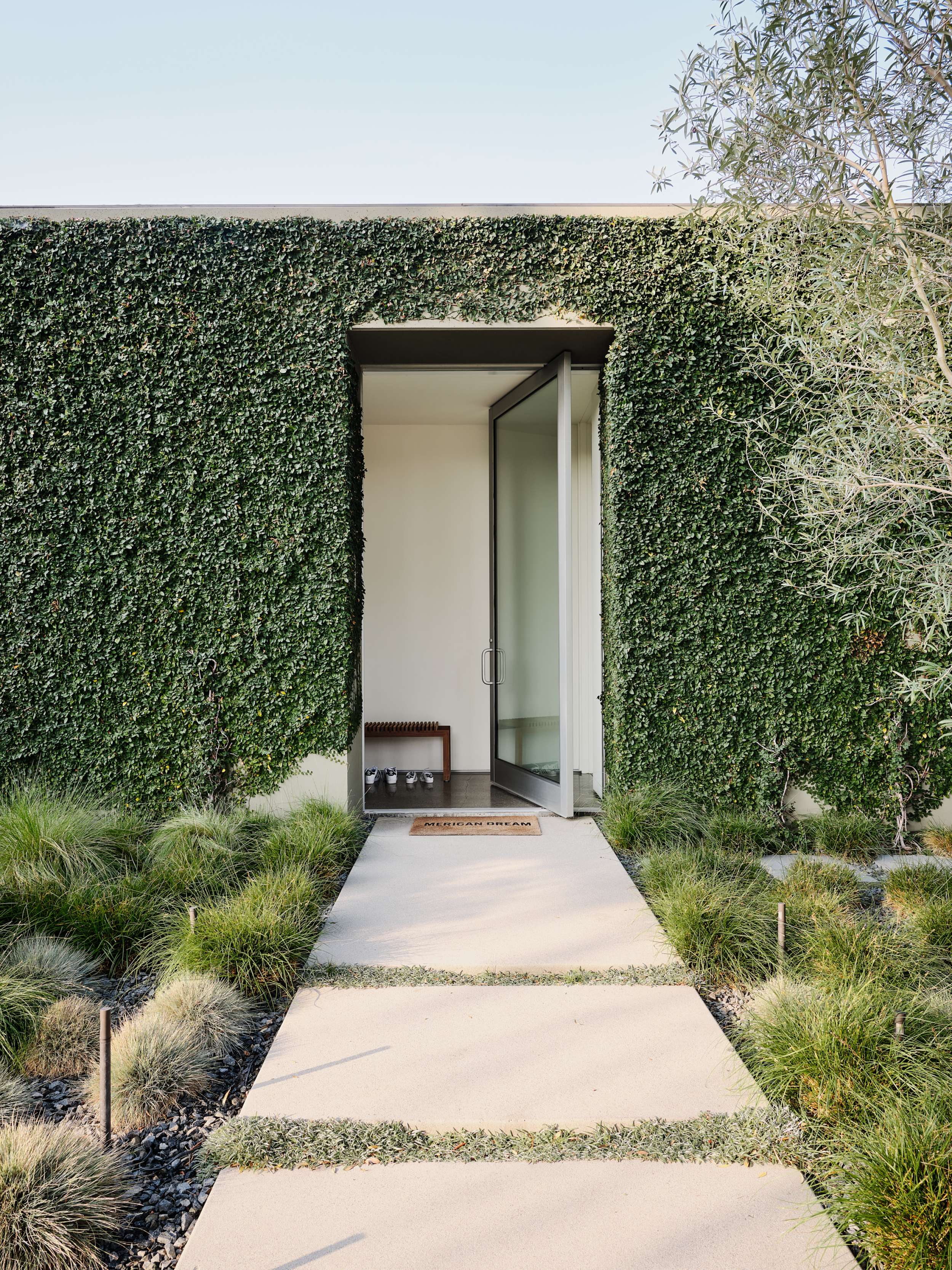Case Study — Woods + Dangaran