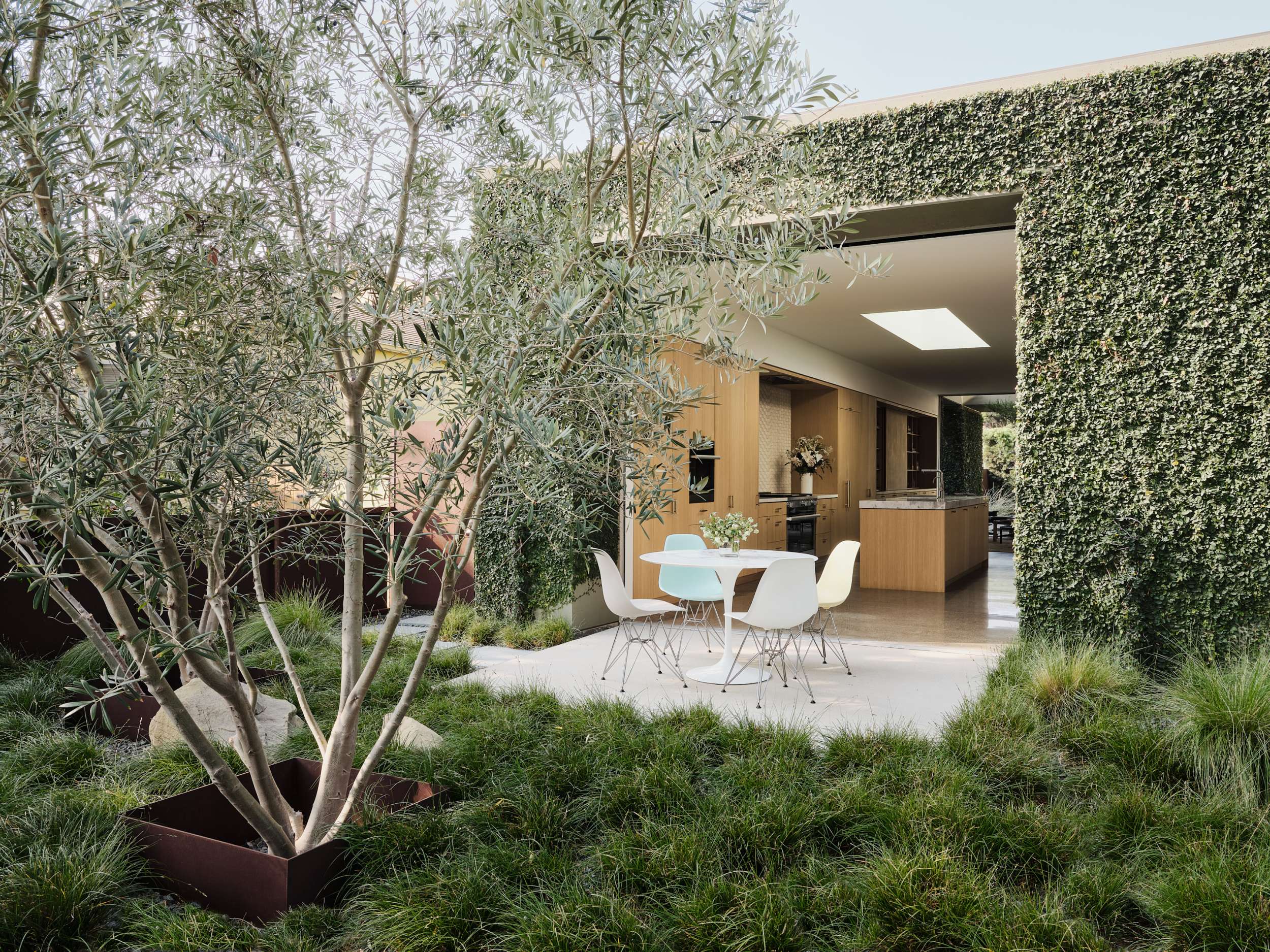 Case Study — Woods + Dangaran