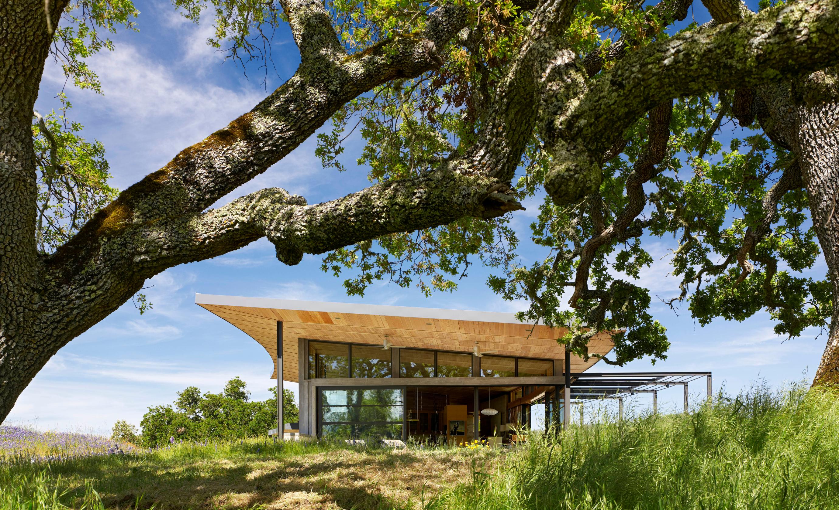 Caterpillar House — Feldman Architecture