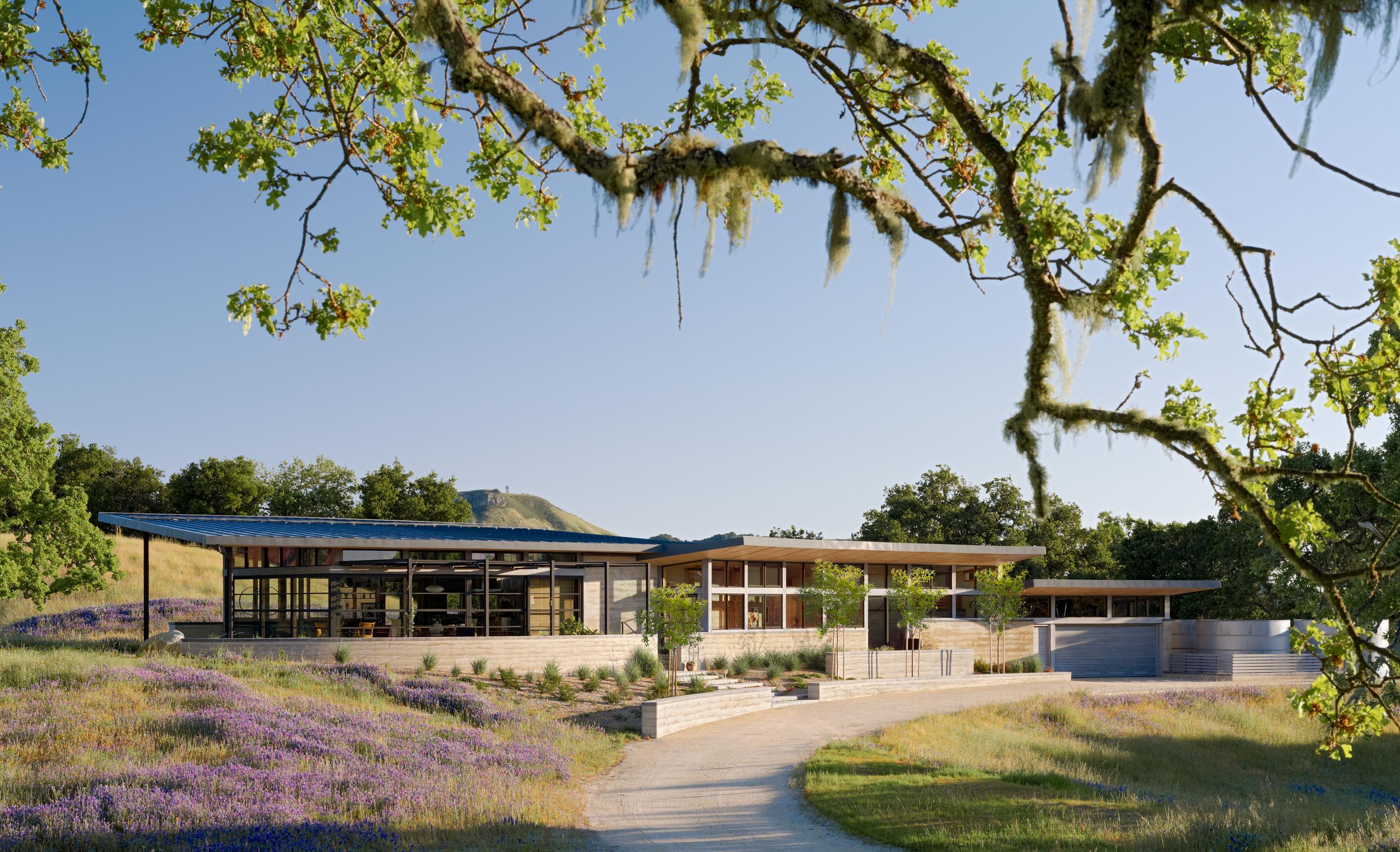 Caterpillar House — Feldman Architecture