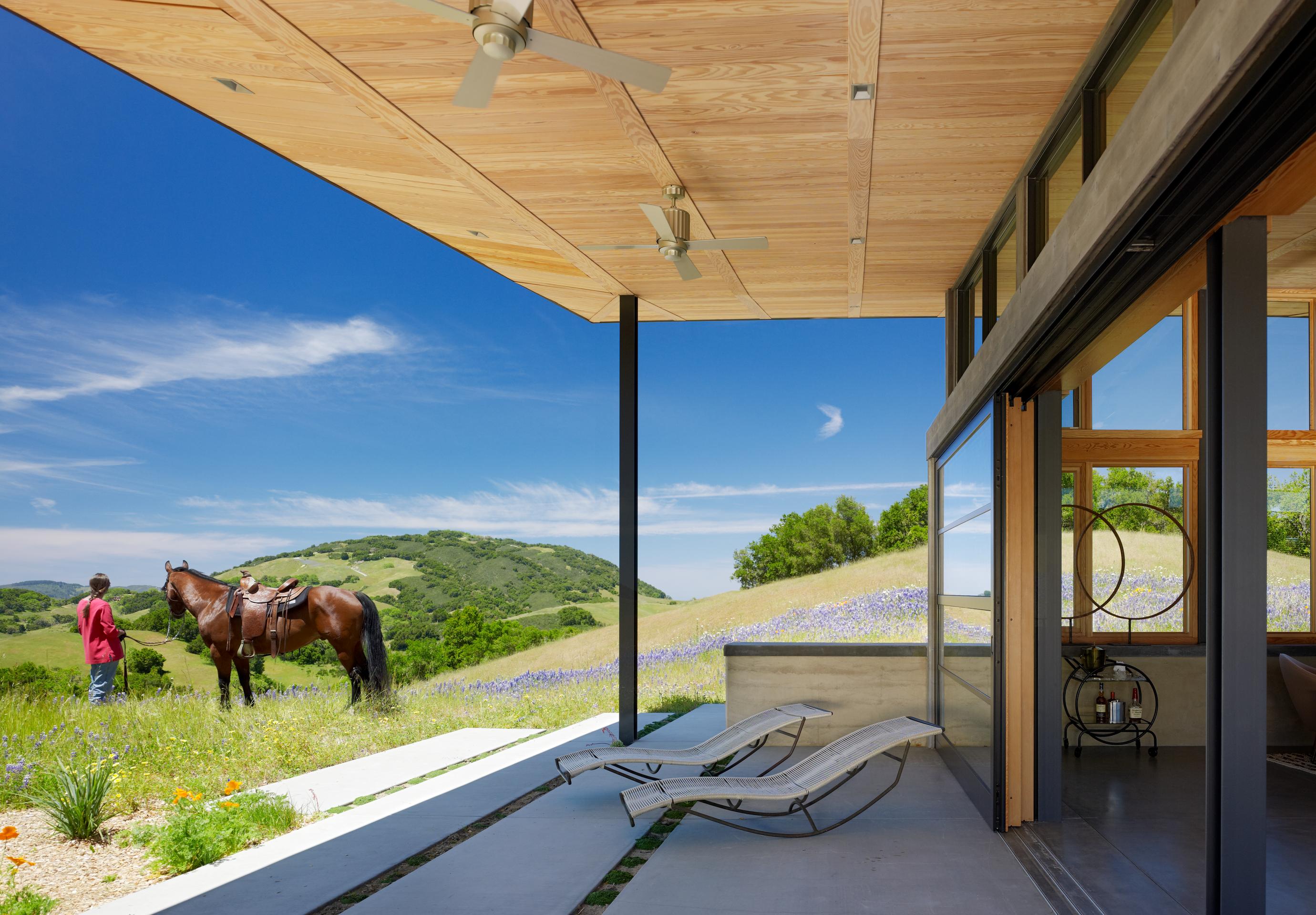 Caterpillar House — Feldman Architecture