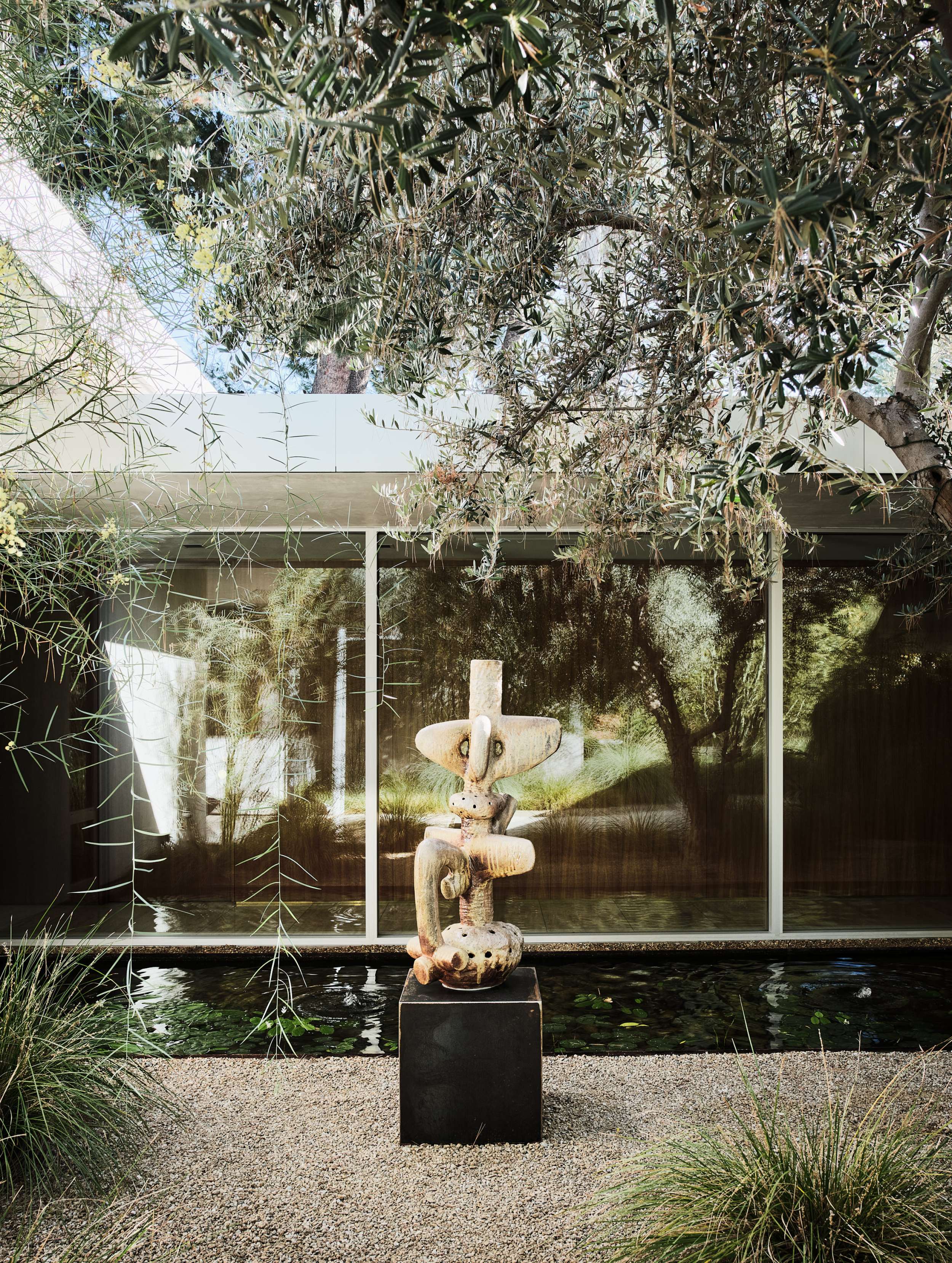 Clear Oak — Woods + Dangaran