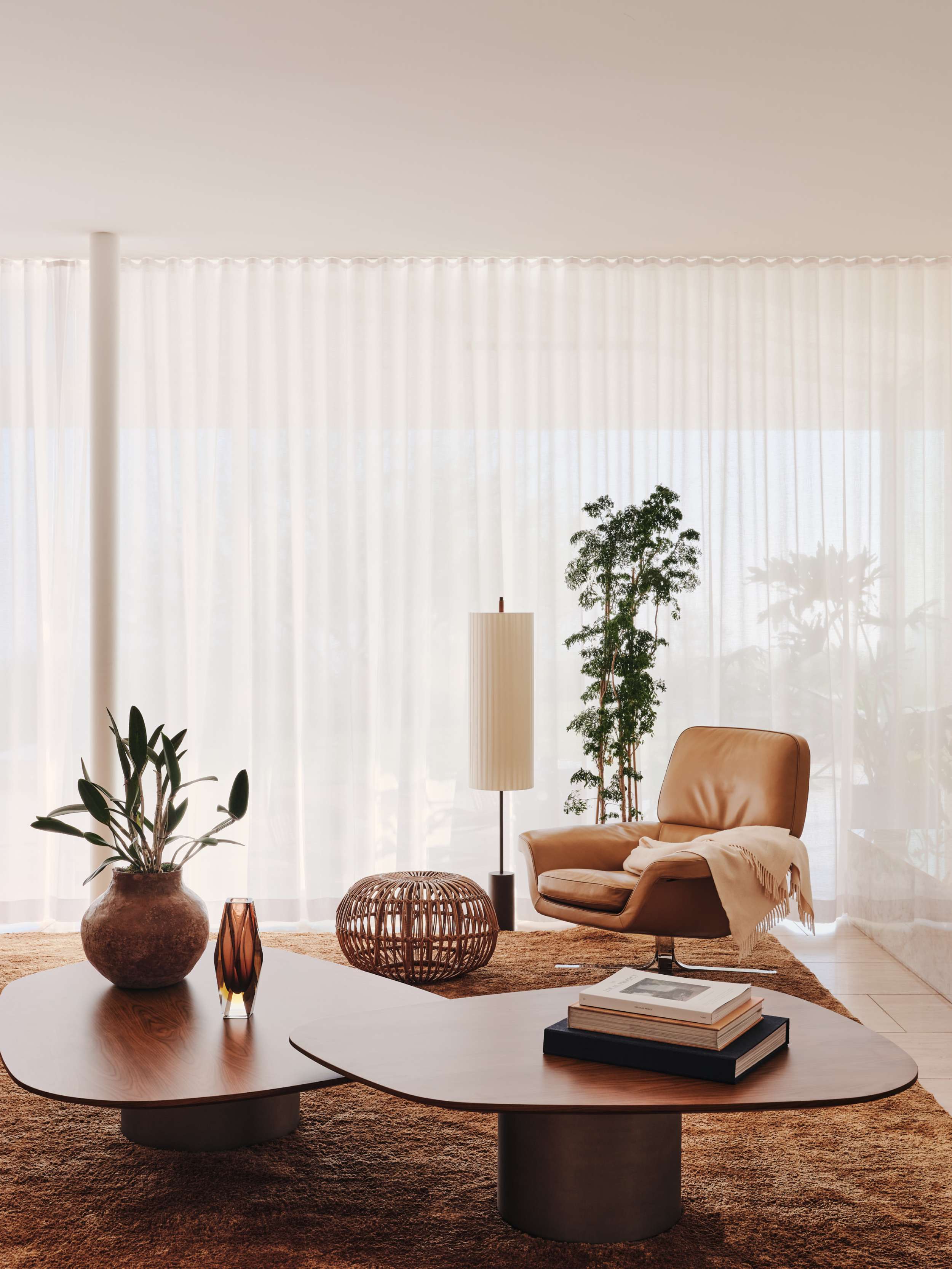 Clear Oak — Woods + Dangaran