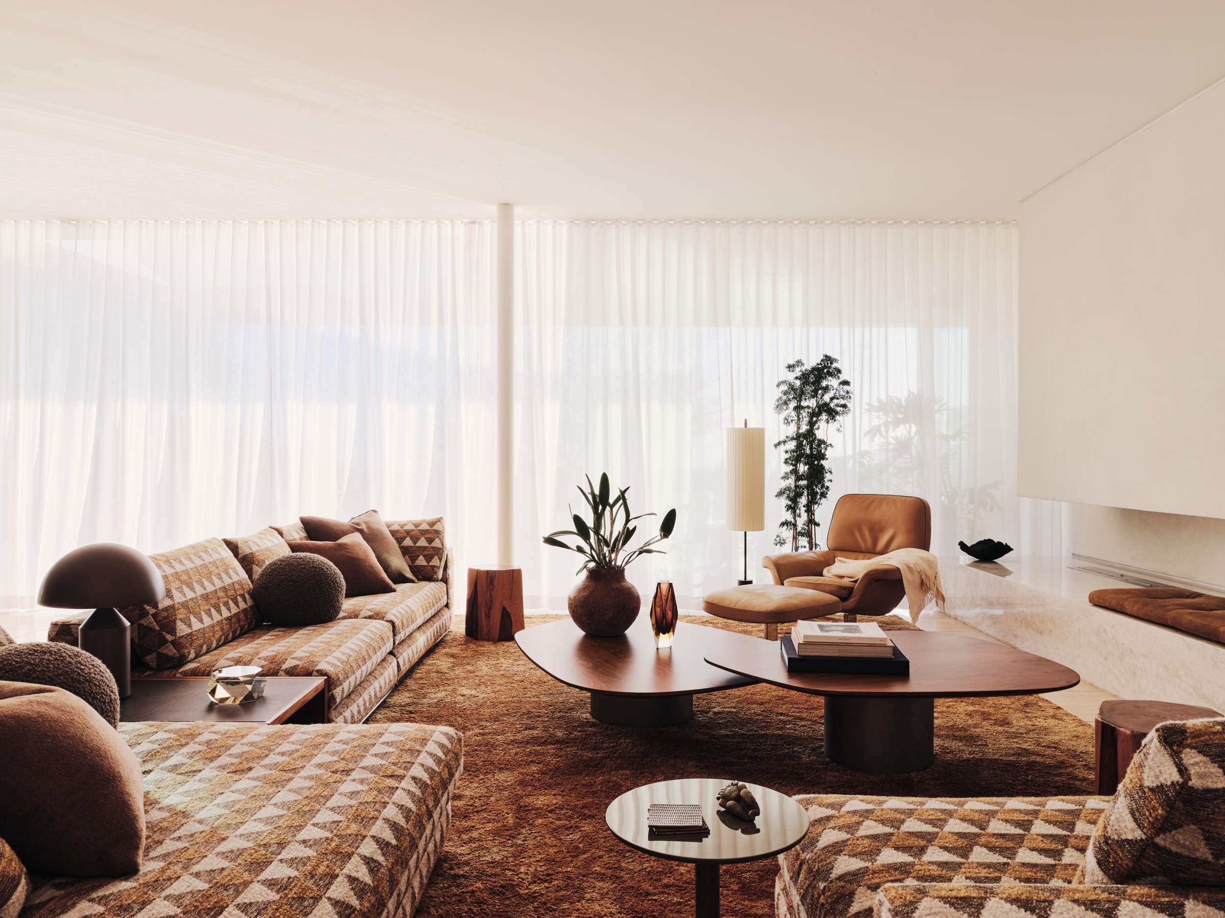 Clear Oak — Woods + Dangaran