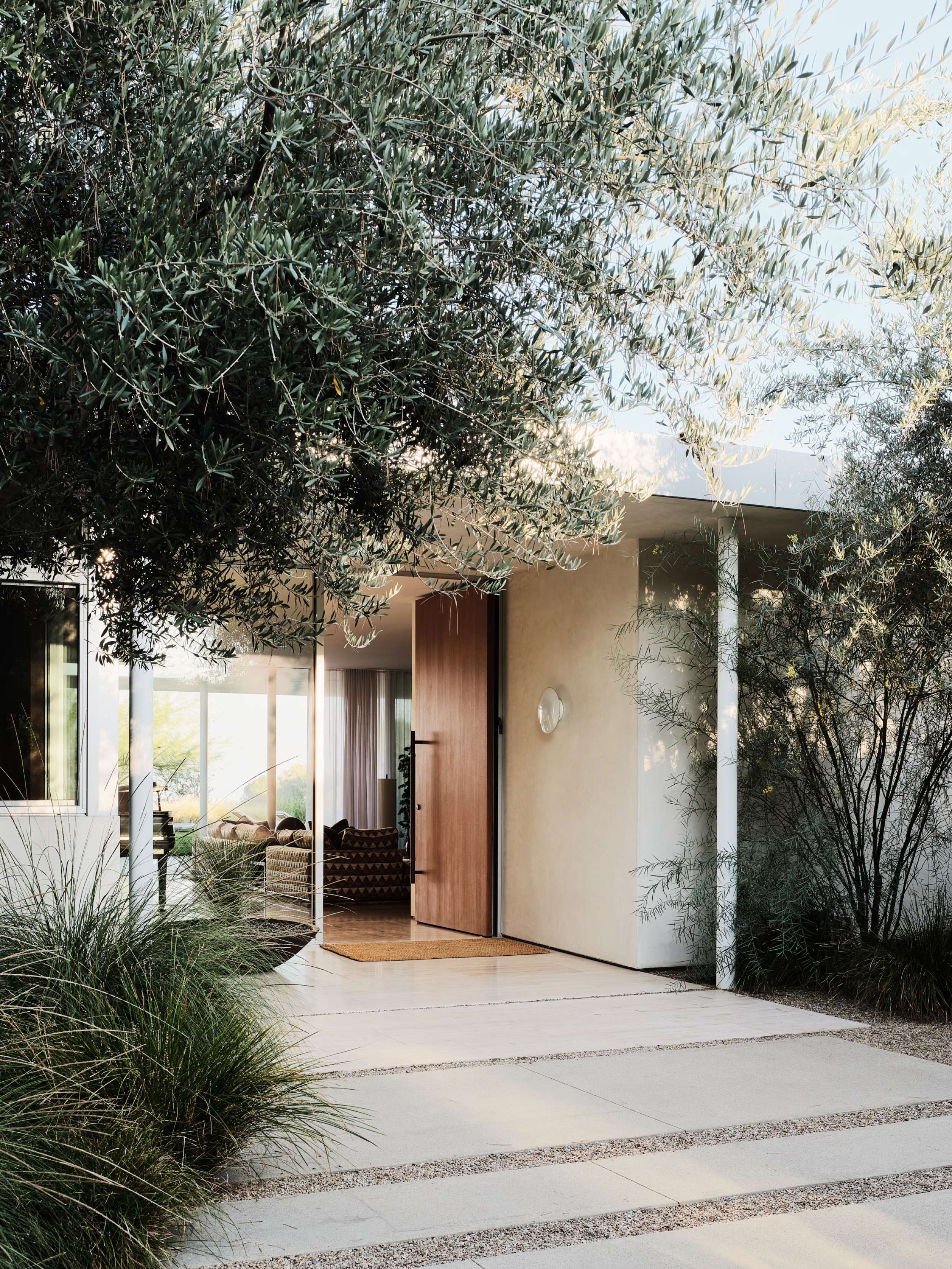 Clear Oak — Woods + Dangaran