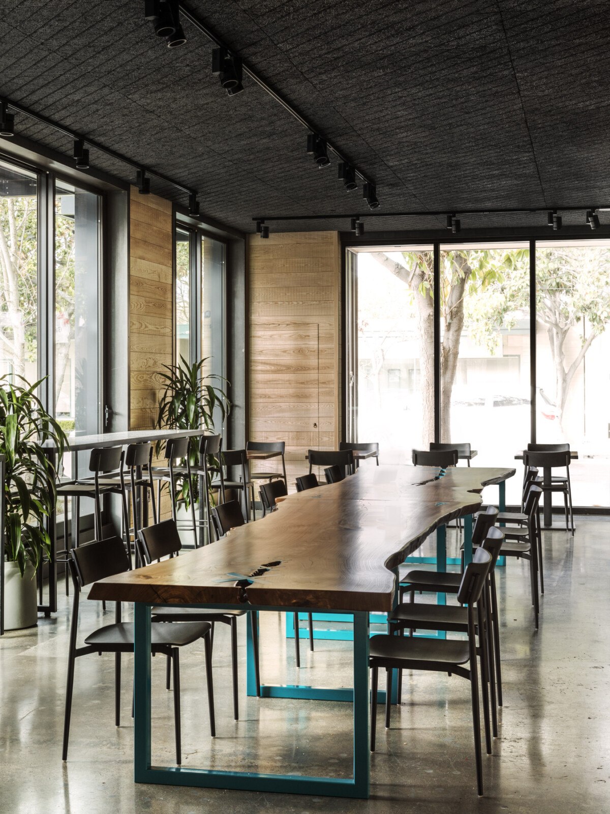 Coffeebar — Walker Warner