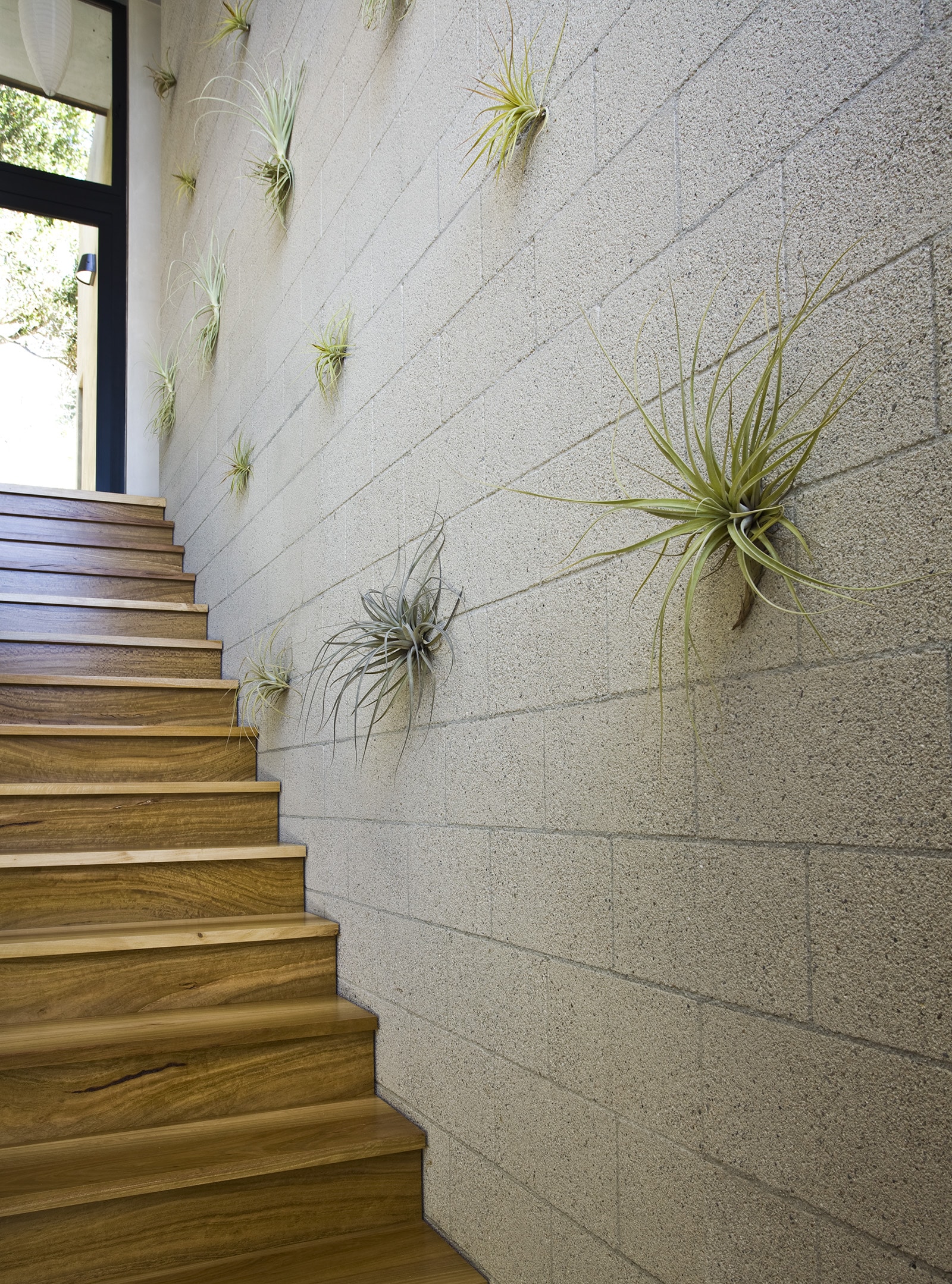 Coyote House design by residential architect in Santa Barbara — Blackbird Architects, Santa Barbara, California - Residential & Commercial