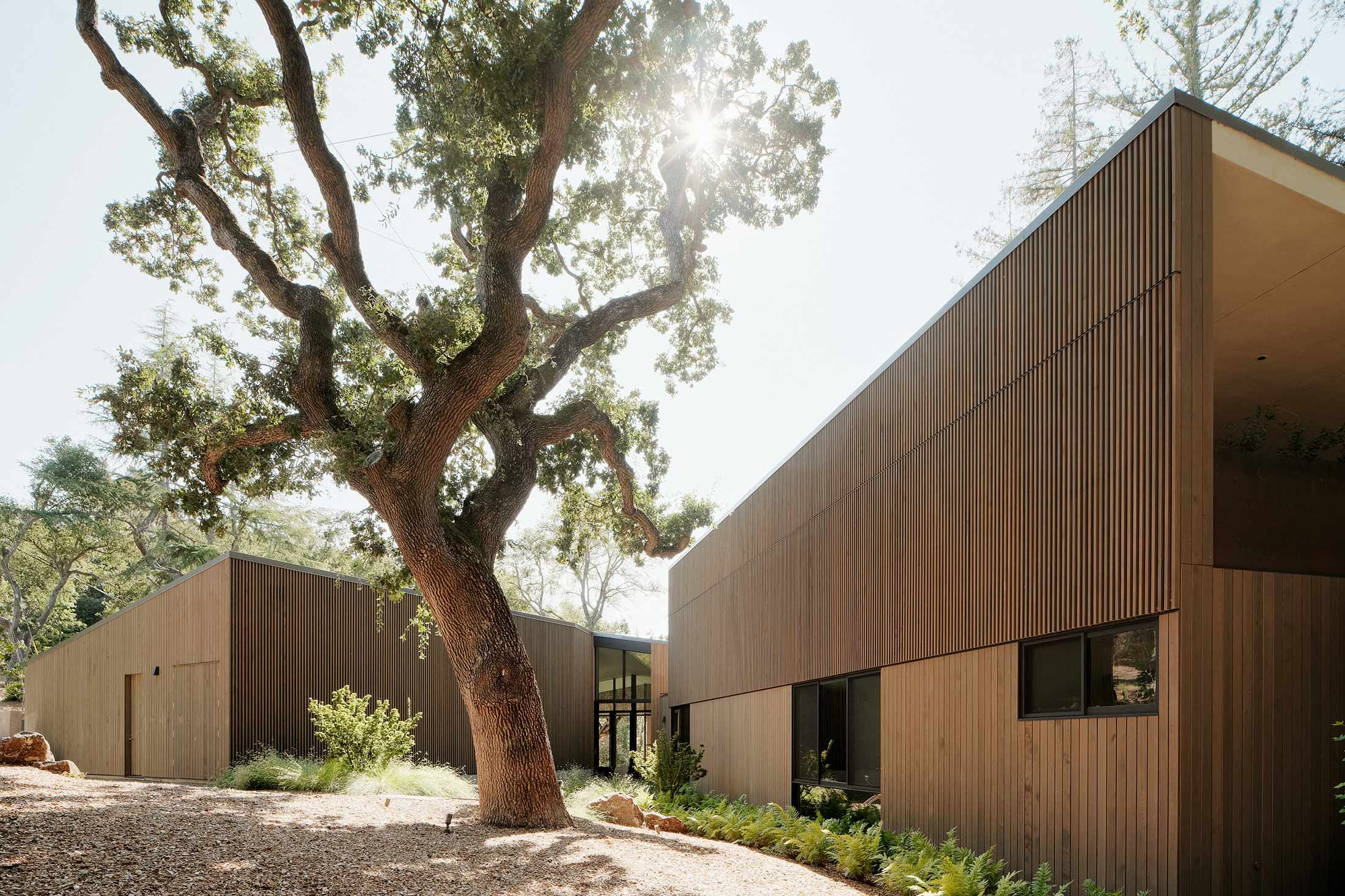 DAWNRIDGE — Field Architecture