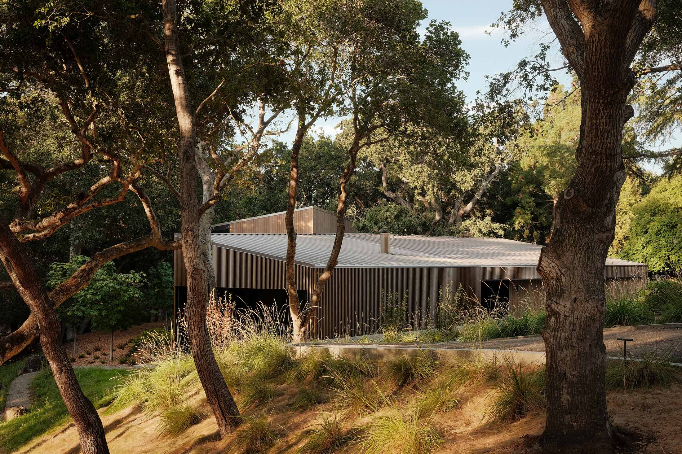 DAWNRIDGE — Field Architecture