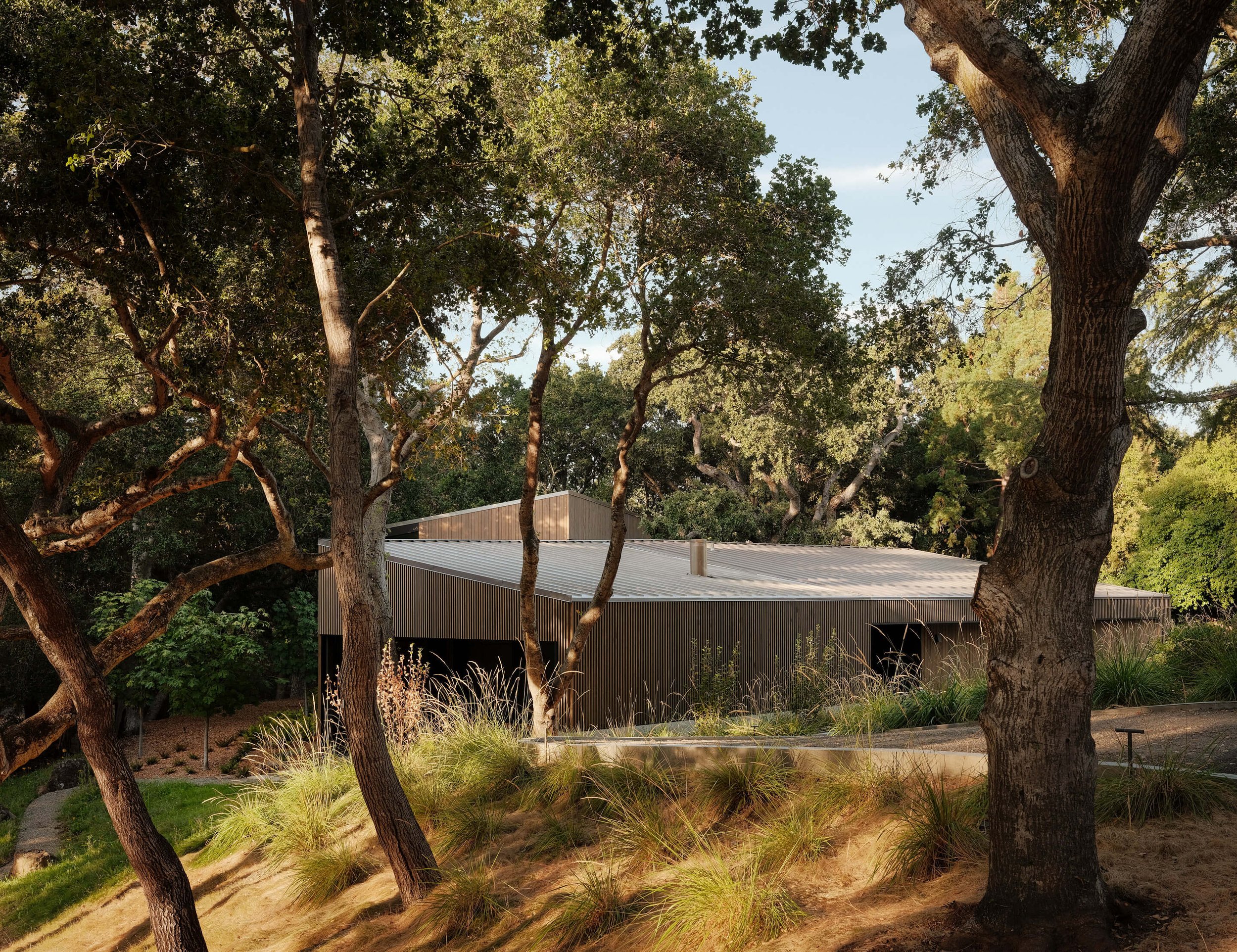Dawn Ridge — Field Architecture
