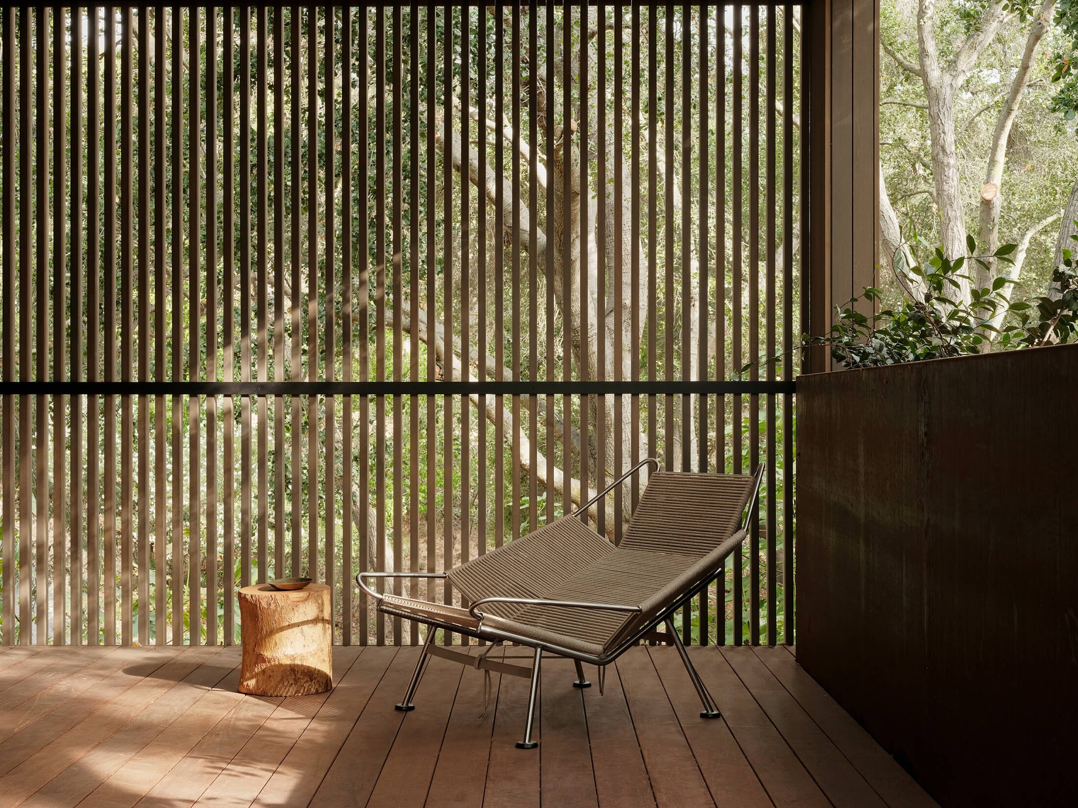 Dawn Ridge — Field Architecture