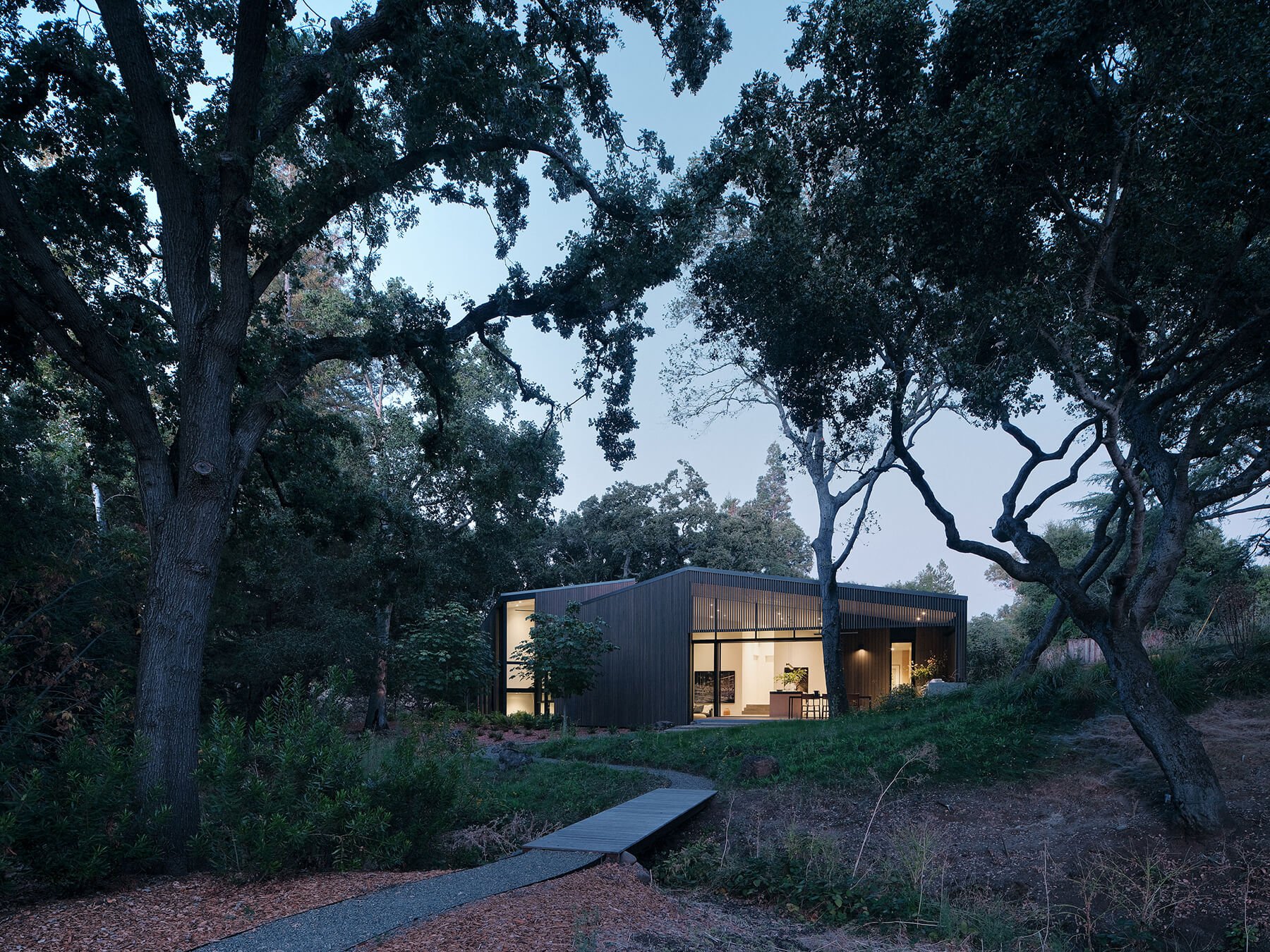 Dawn Ridge — Field Architecture
